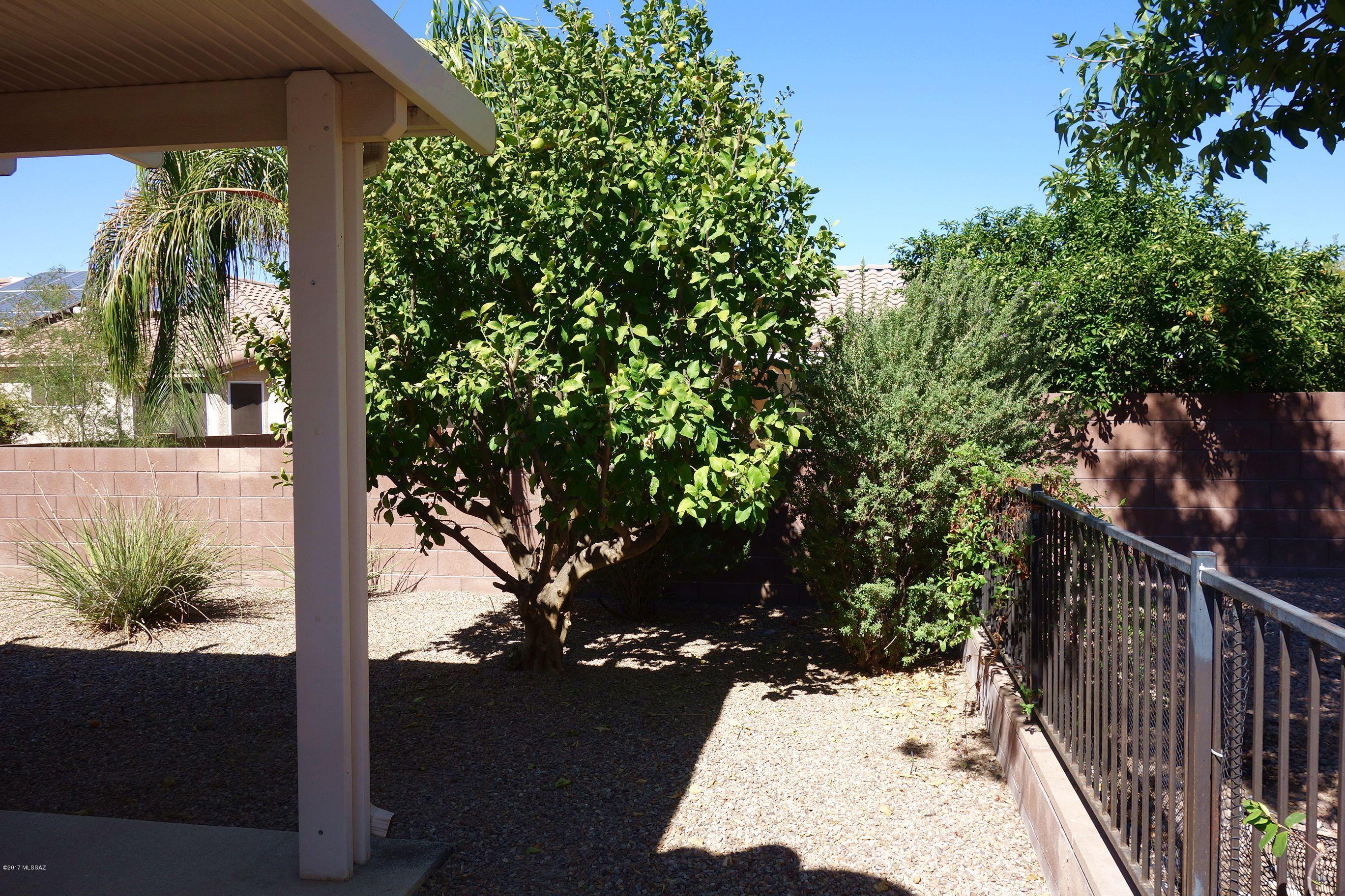 Continental Ranch Sunflower - Residential