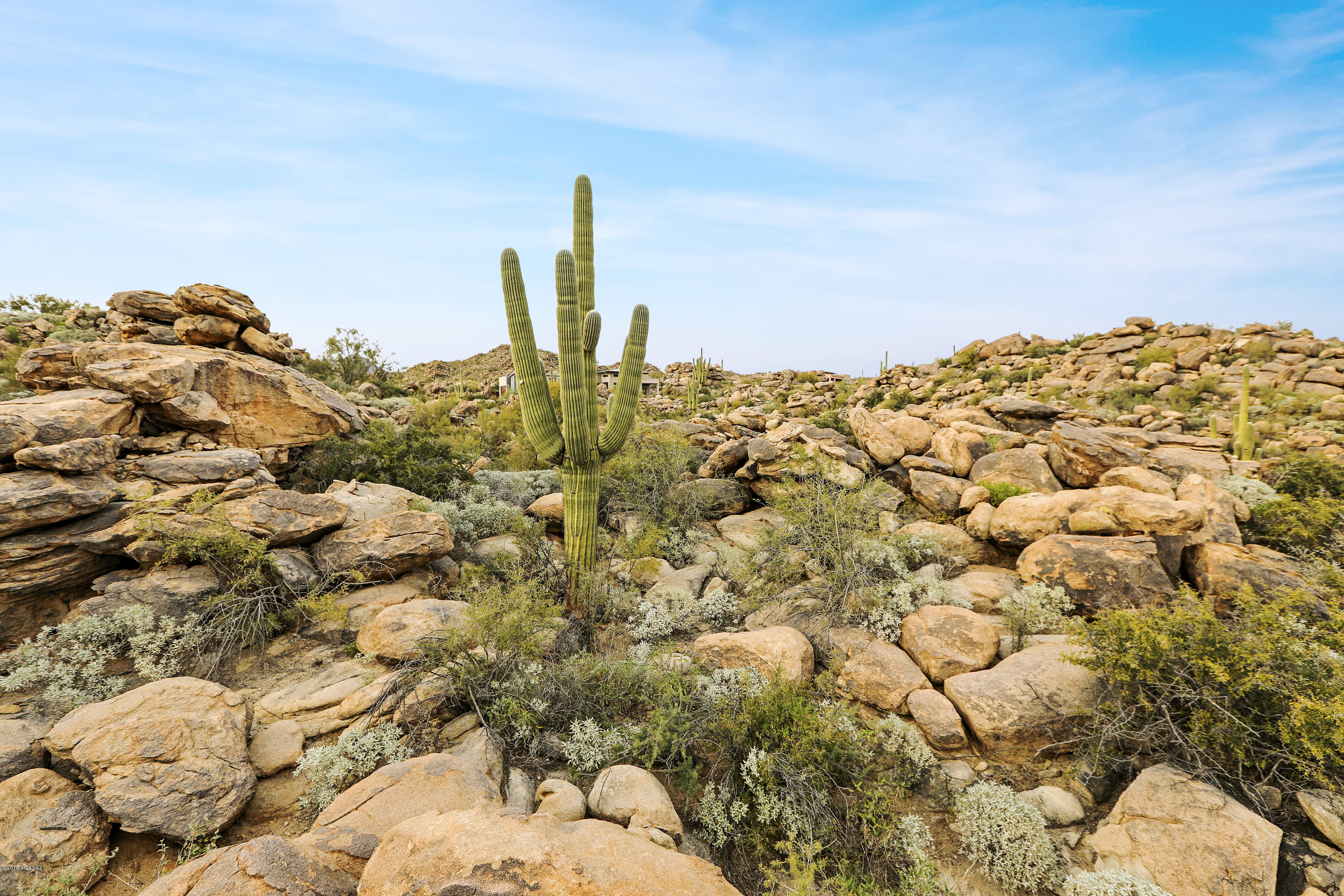Stone Canyon VIII (486-602) - Land