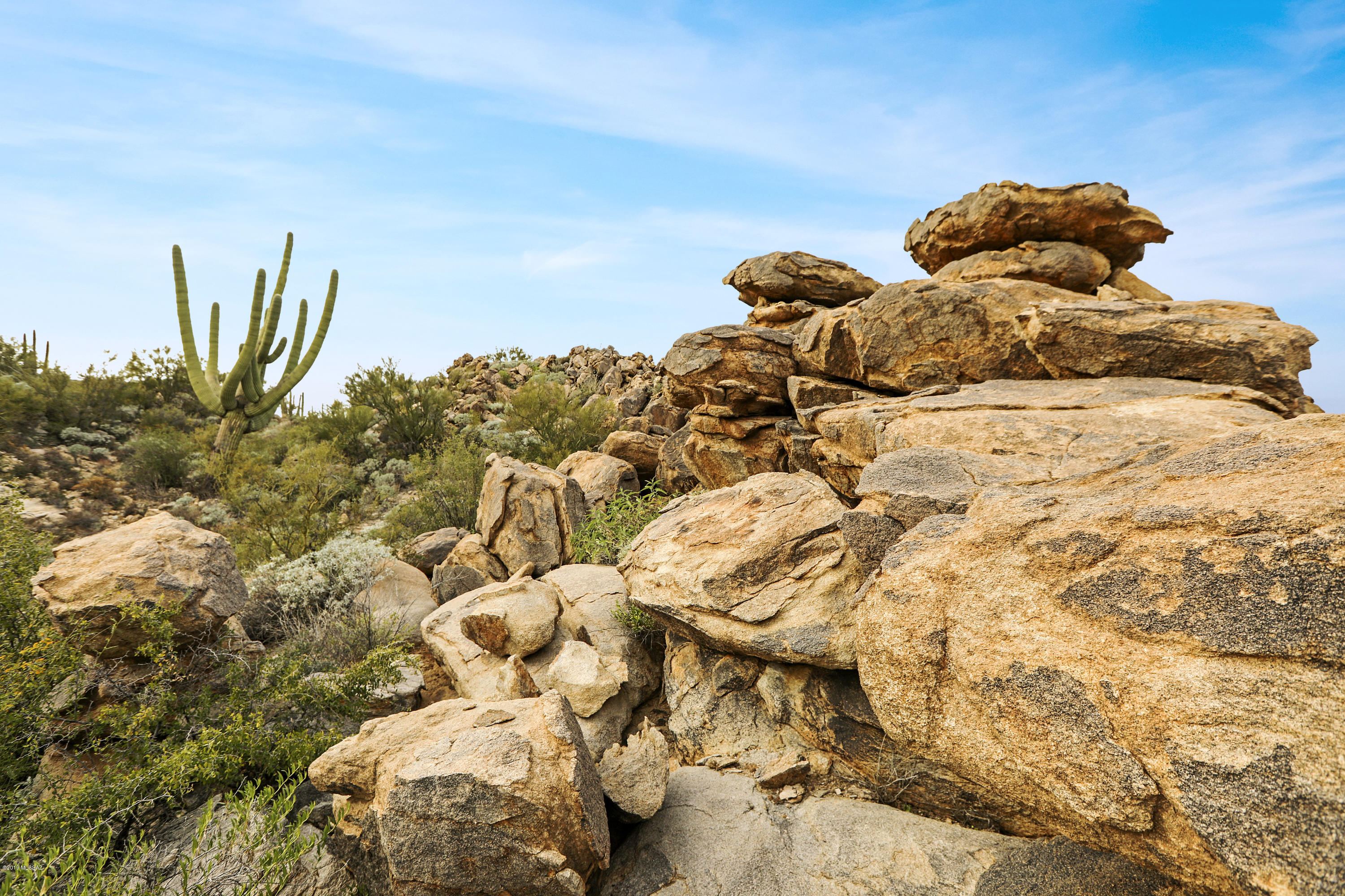 Stone Canyon VIII (486-602) - Land