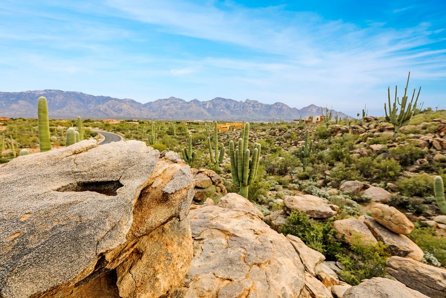 Enjoy our beautiful Sonoran Sunset and natural rock cropping's on this 2.50 acre lot. This lot is located in the luxurious Stone Canyon with plenty of amenities. Golf, Fitness and a private restaurant for our homeowners.