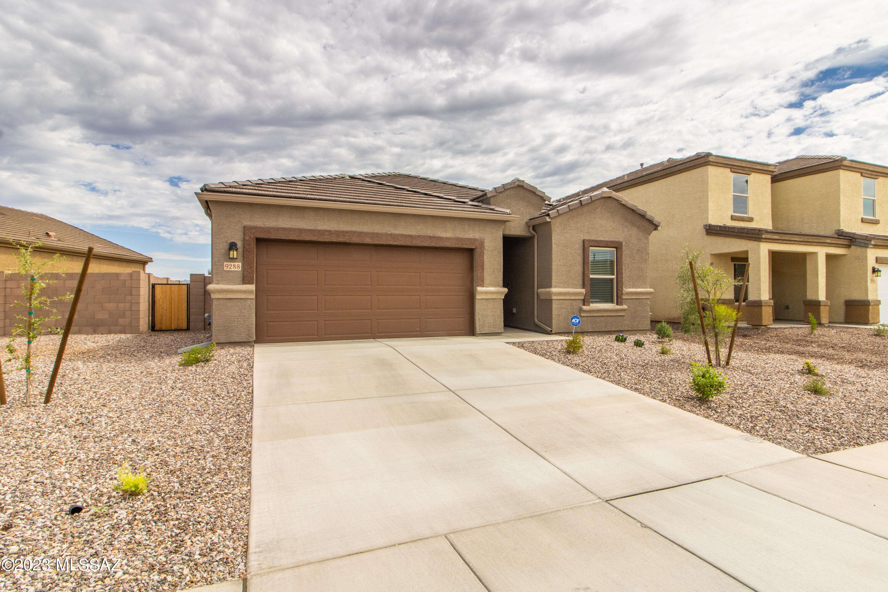 Saguaro Bloom SQ20180540069 - Residential