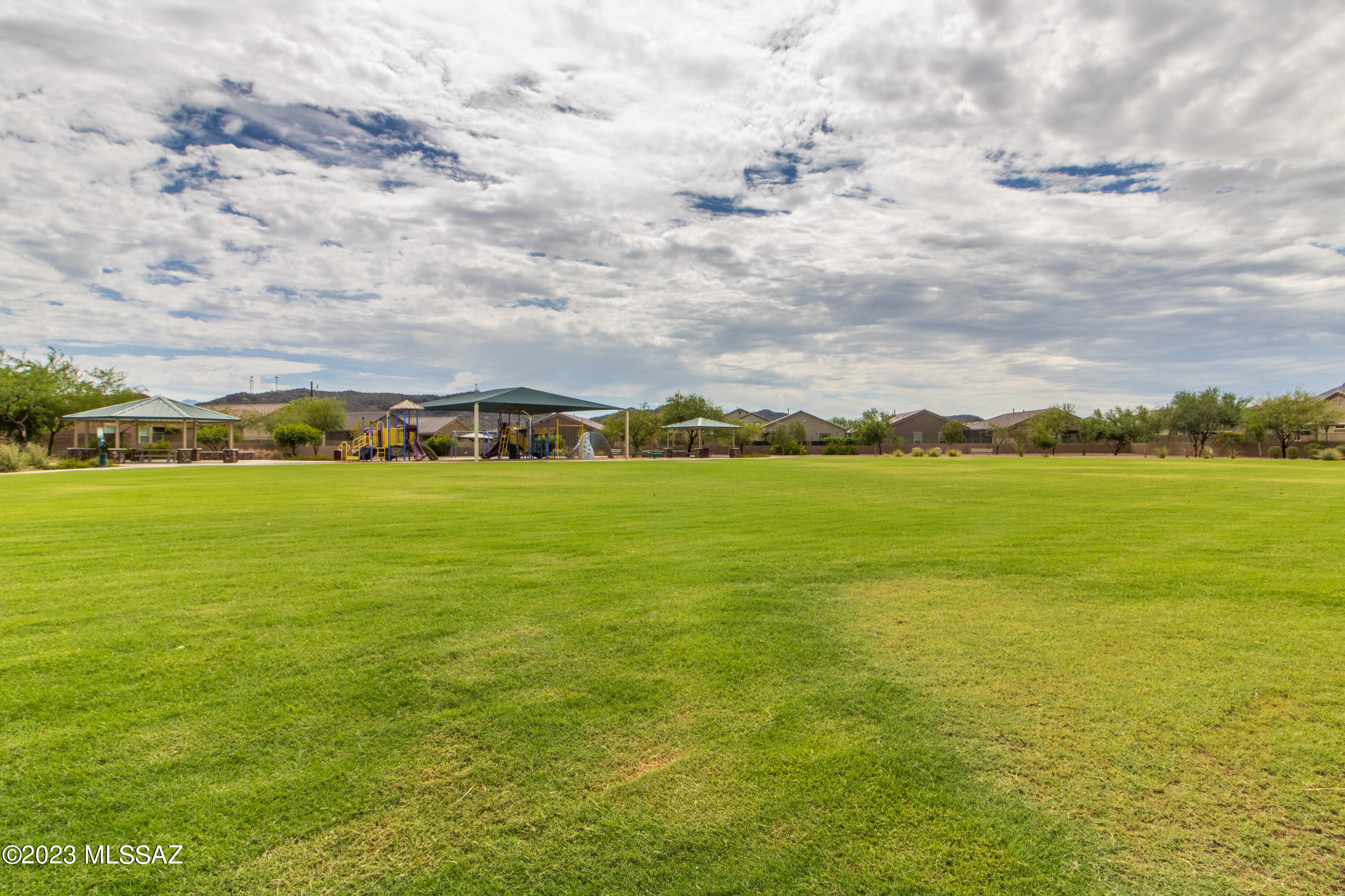 Saguaro Bloom SQ20180540069 - Residential