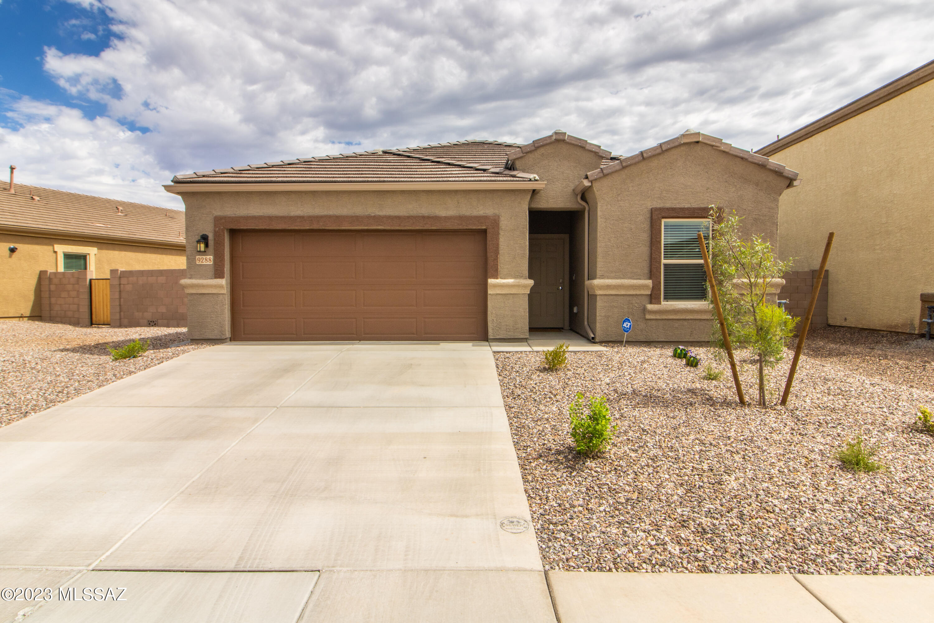 Saguaro Bloom SQ20180540069 - Residential