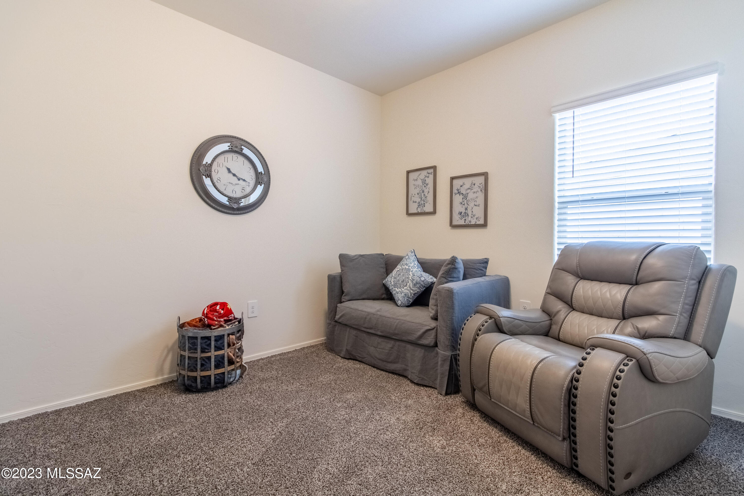 Saguaro Bloom SQ20180540069 - Residential