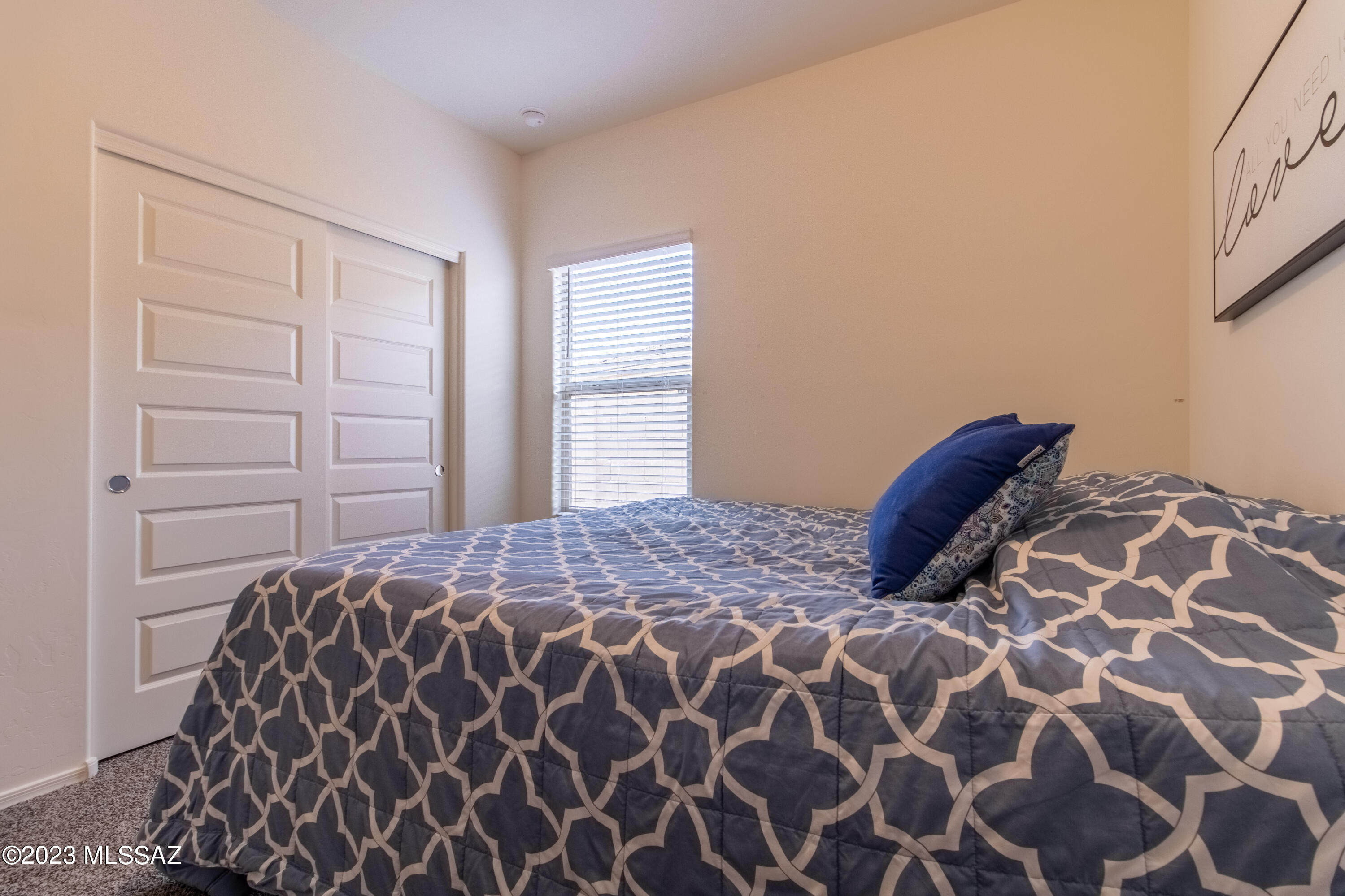 Saguaro Bloom SQ20180540069 - Residential