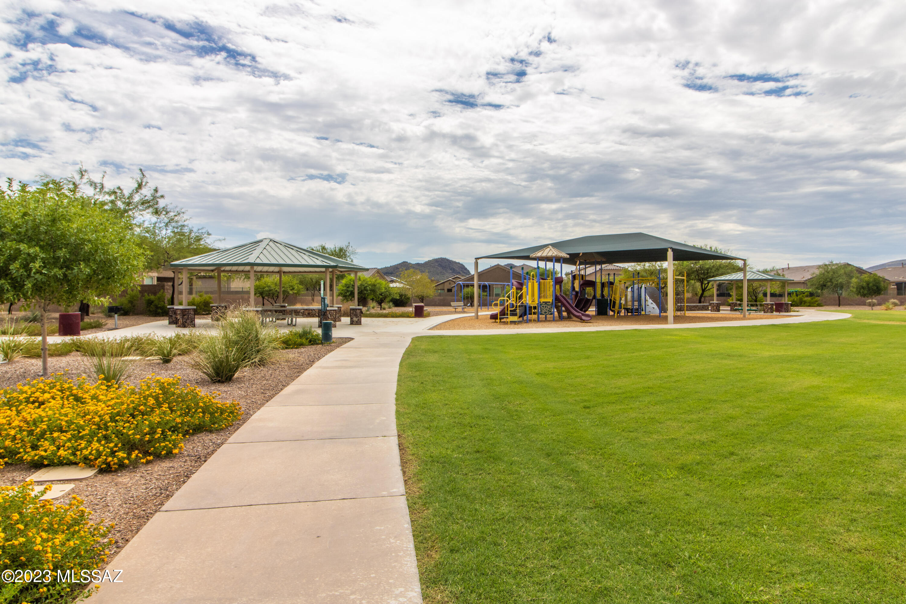 Saguaro Bloom SQ20180540069 - Residential