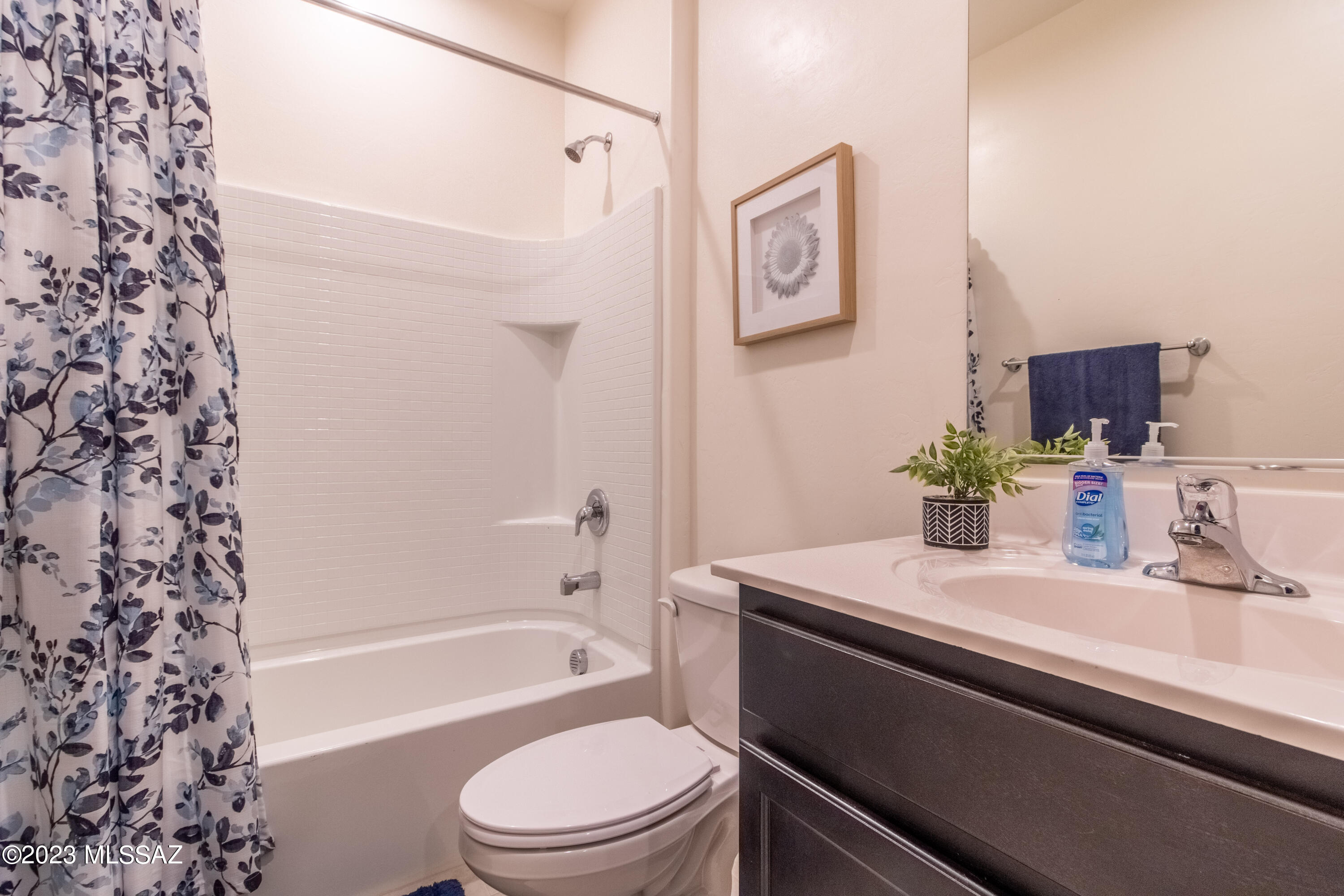 Saguaro Bloom SQ20180540069 - Residential