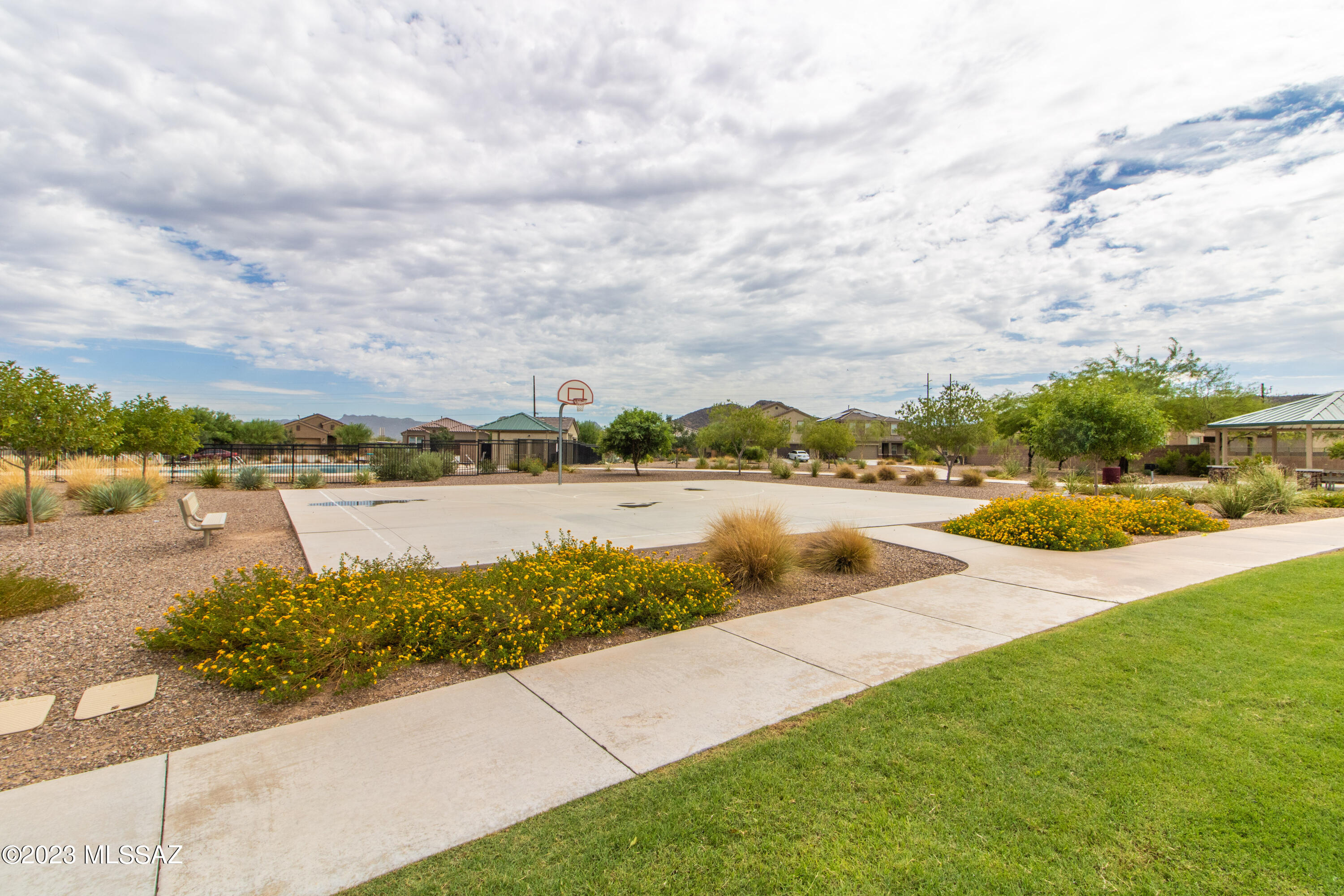 Saguaro Bloom SQ20180540069 - Residential
