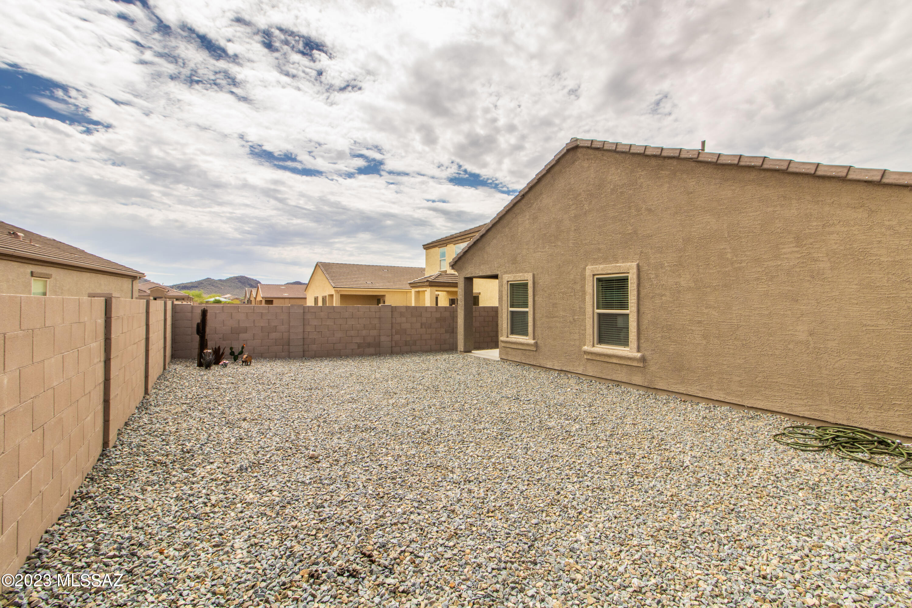 Saguaro Bloom SQ20180540069 - Residential