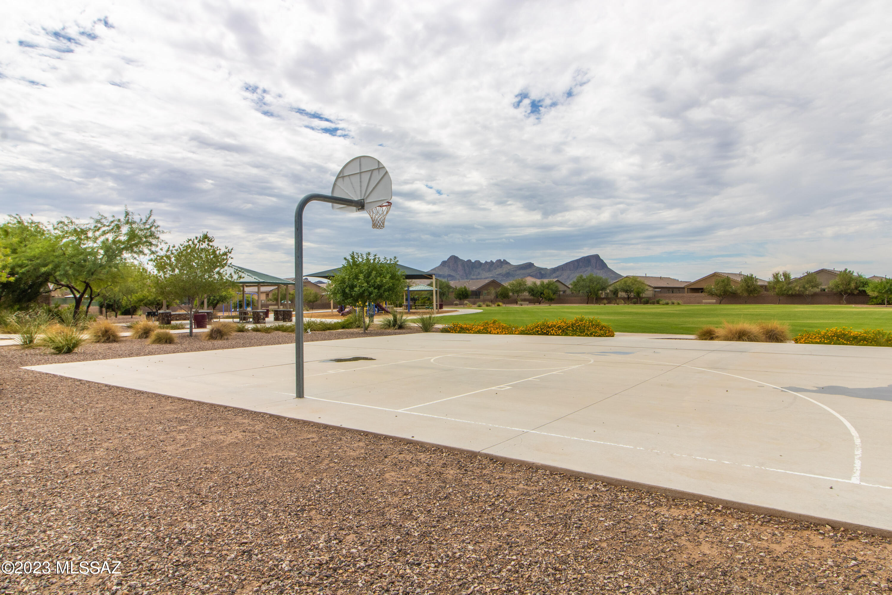 Saguaro Bloom SQ20180540069 - Residential