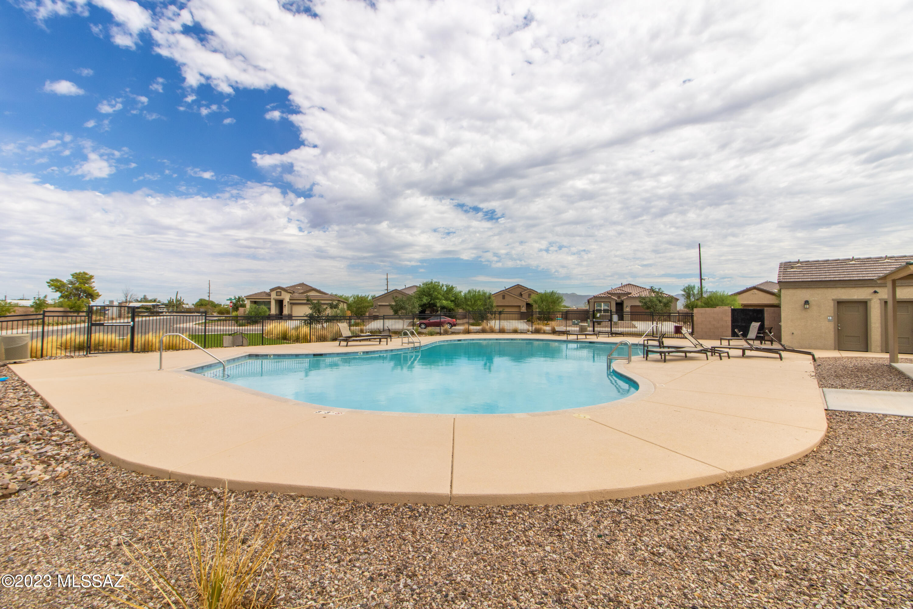 Saguaro Bloom SQ20180540069 - Residential