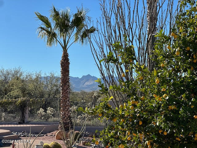 Sycamore Springs (1-64) - Residential