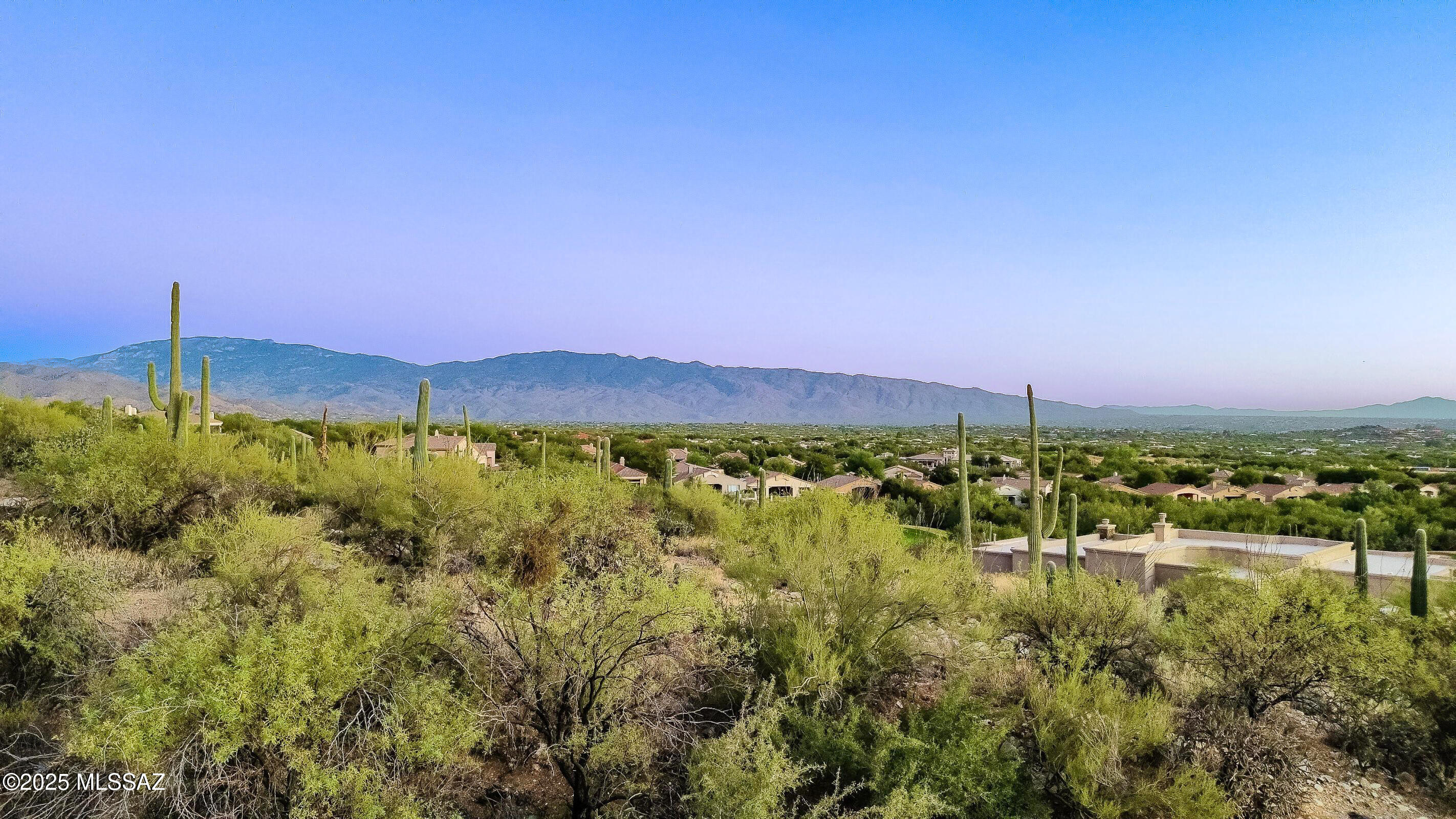 9650 E Sabino Estates Drive 3