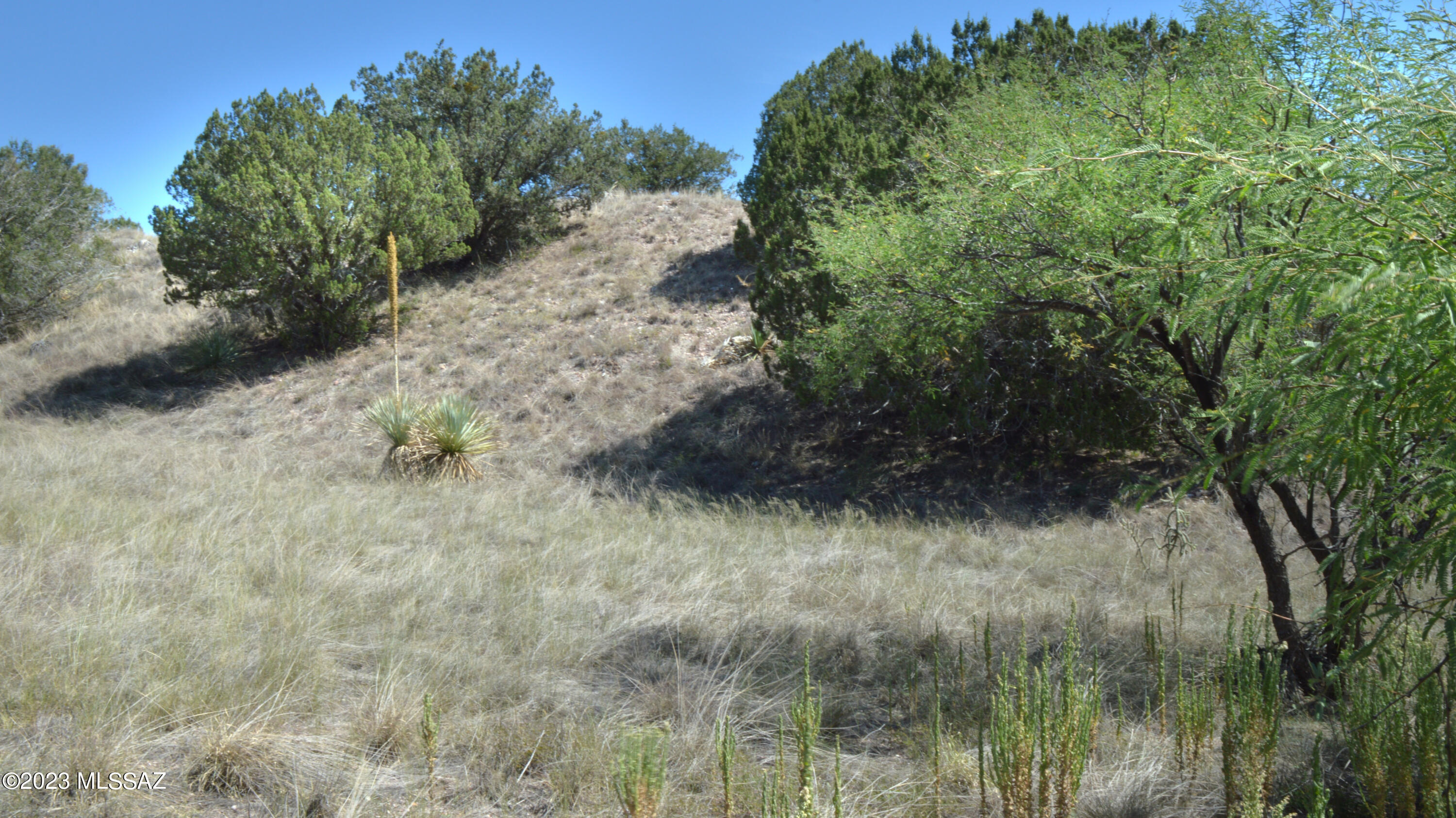 Three Canyons - Land