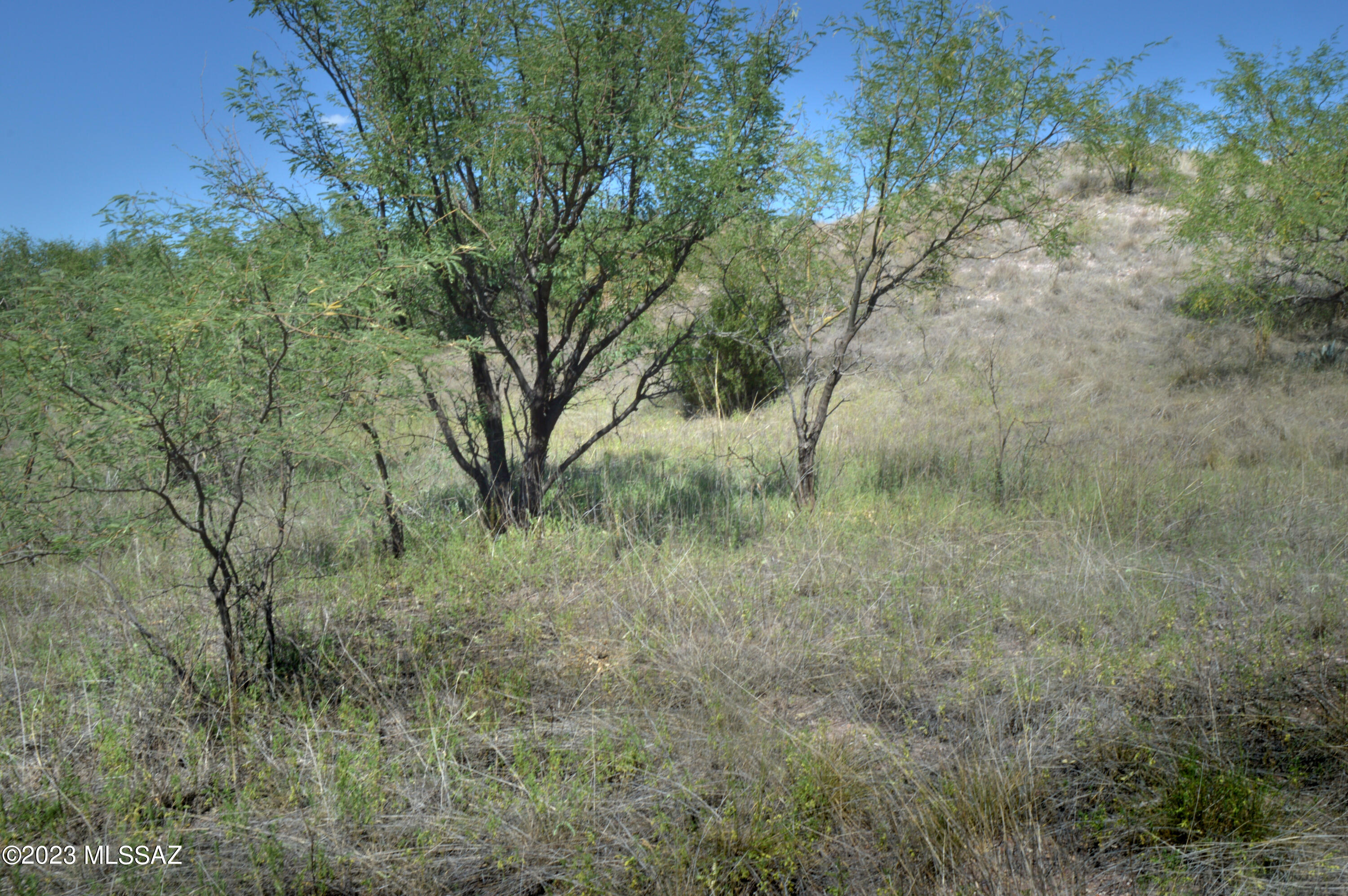 Three Canyons - Land