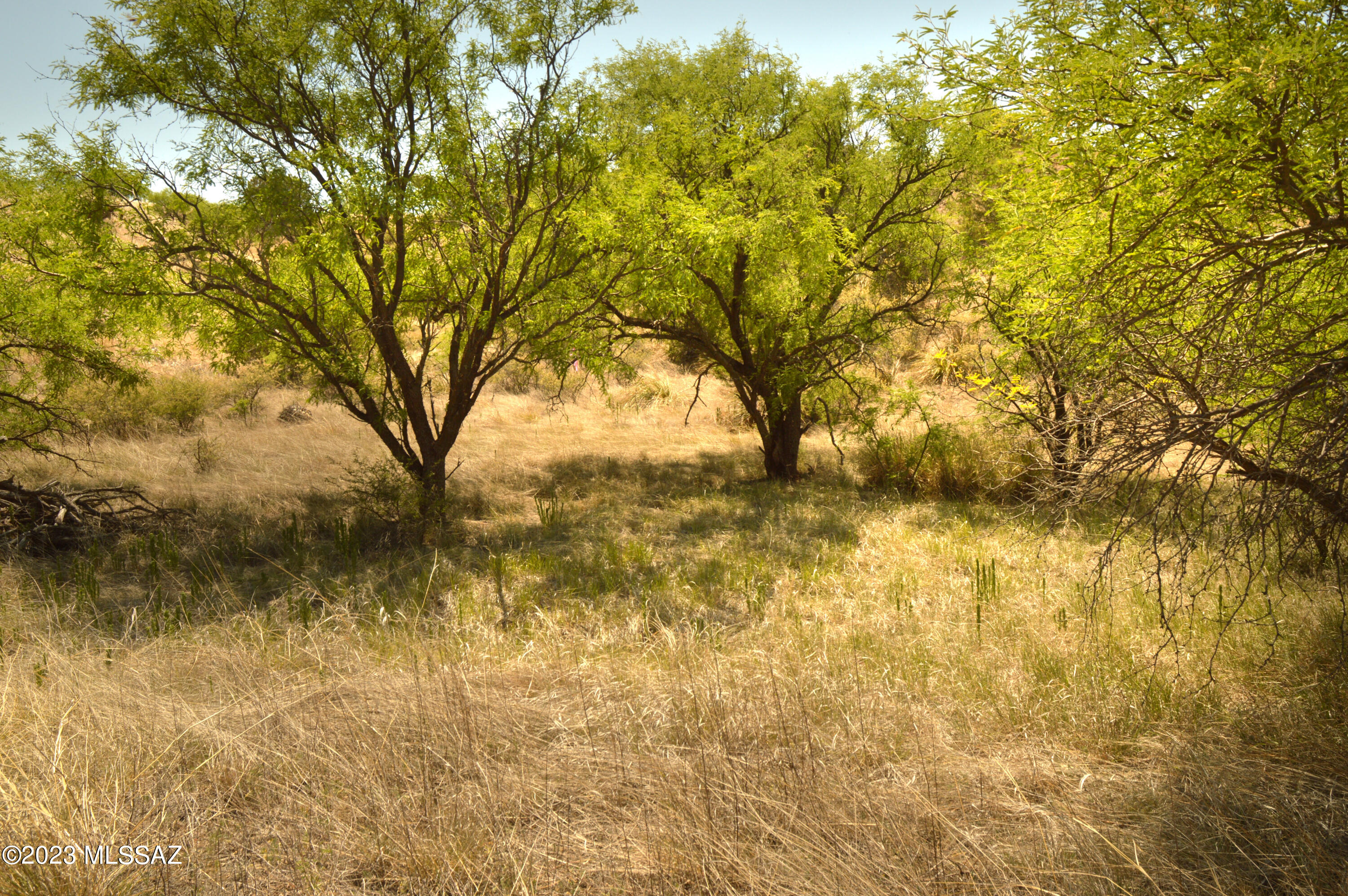 Three Canyons - Land
