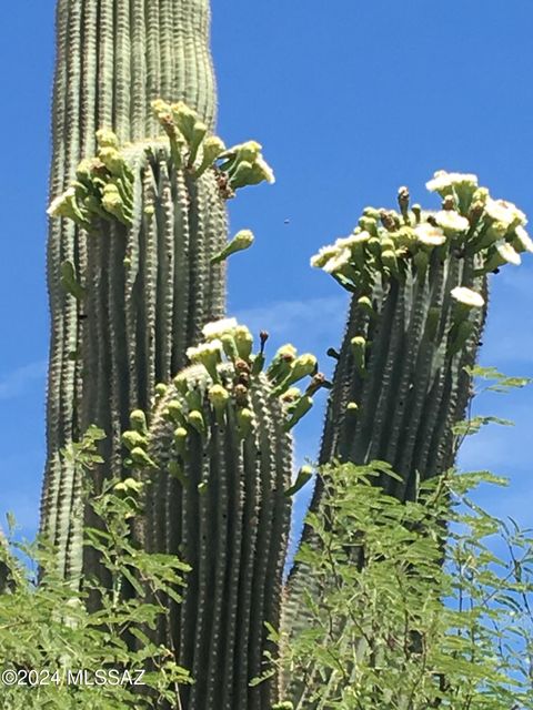 A home in Tucson