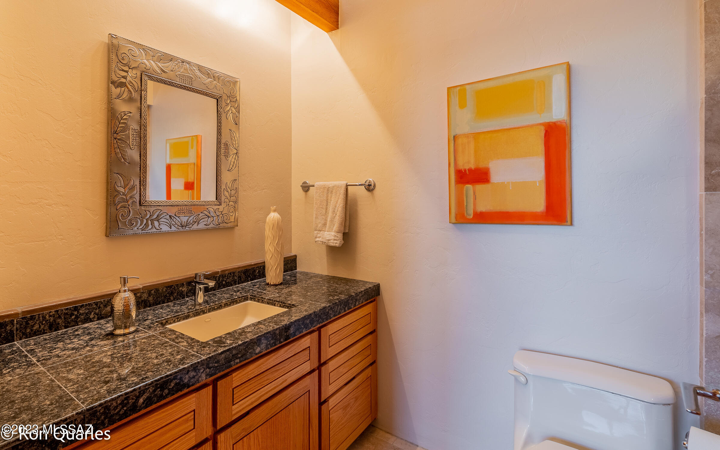 Catalina Foothills Estates NO. 10 (179-193) - Residential