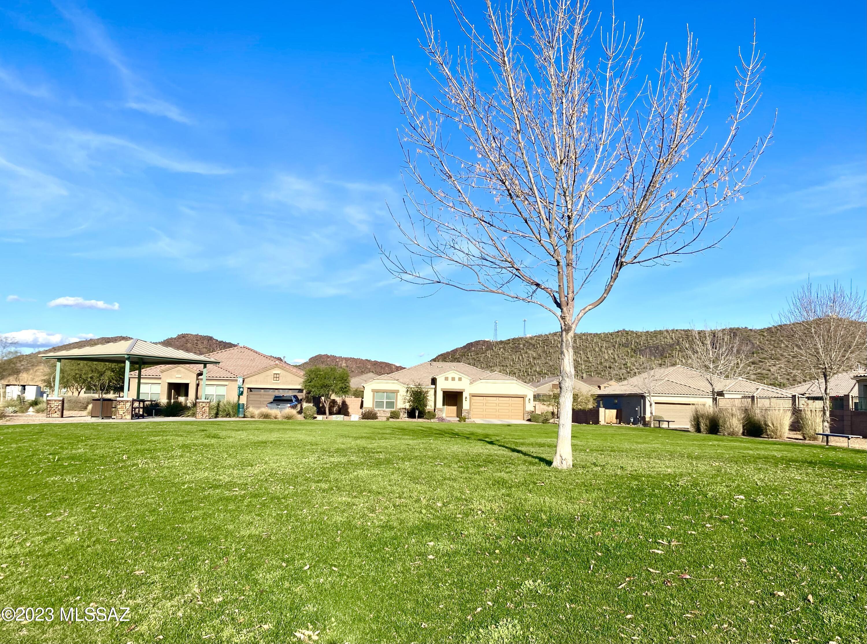 Saguaro Springs Block 8A (1-130) - Residential