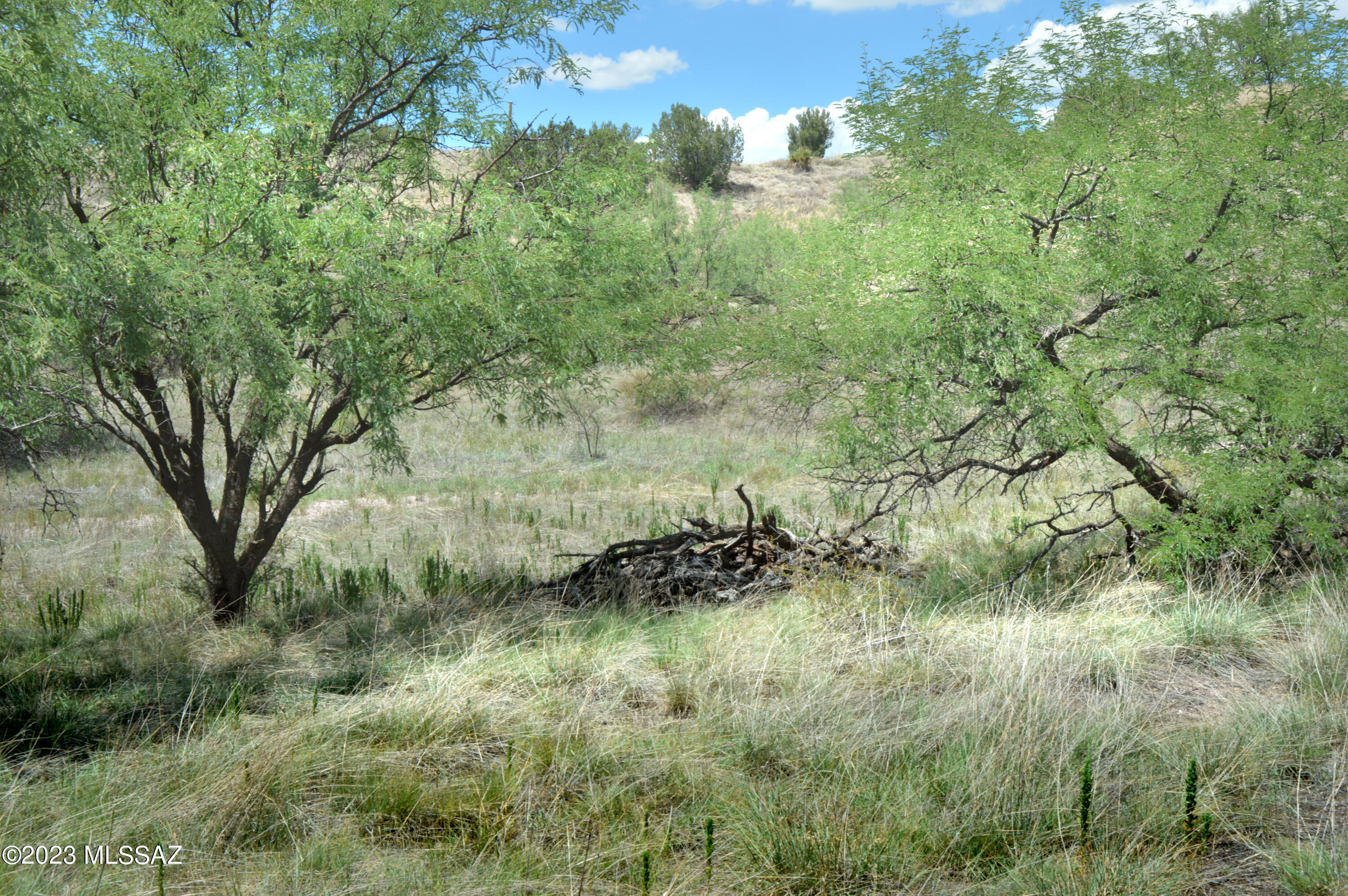 Three Canyons - Land