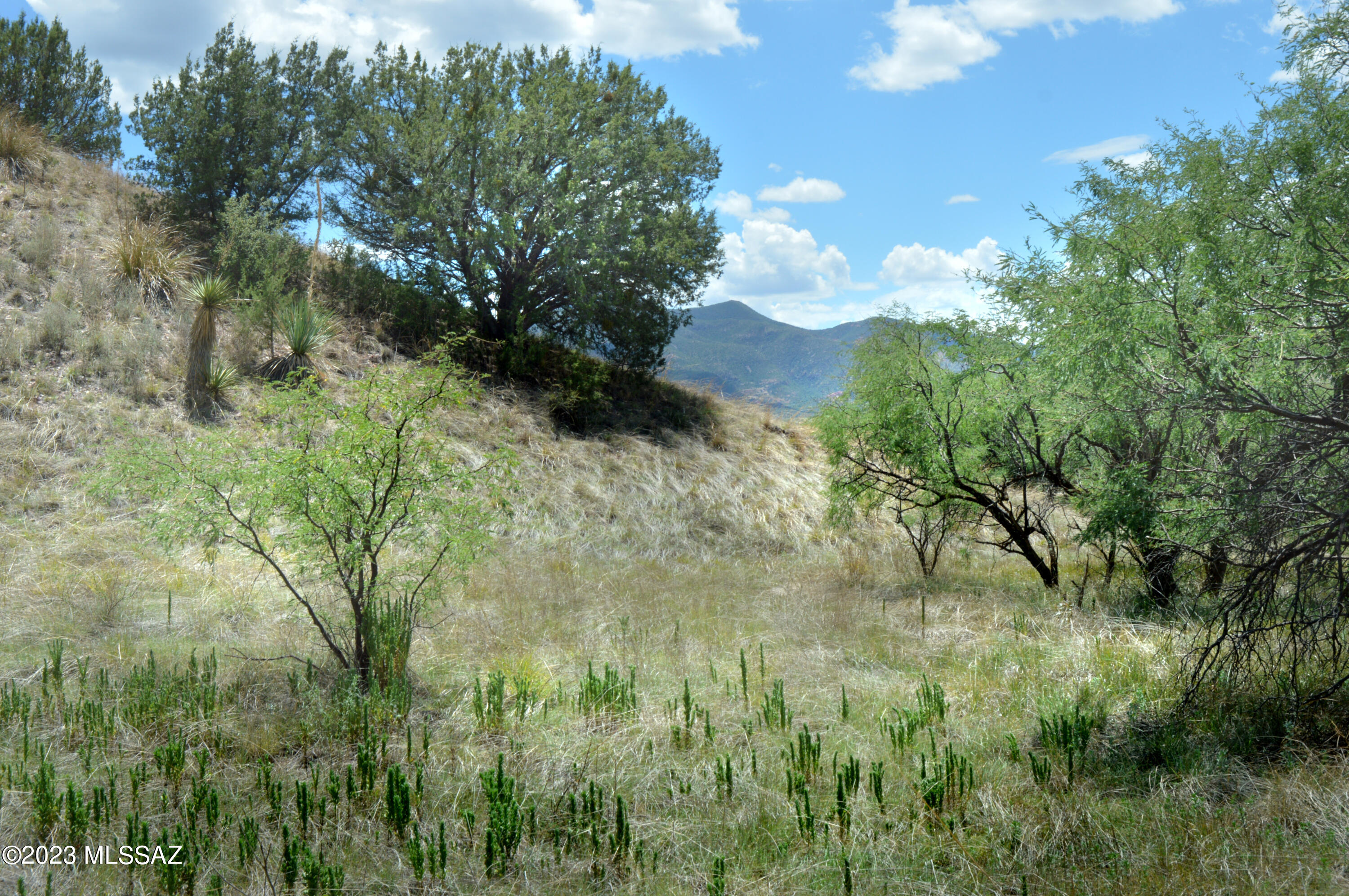 Three Canyons - Land