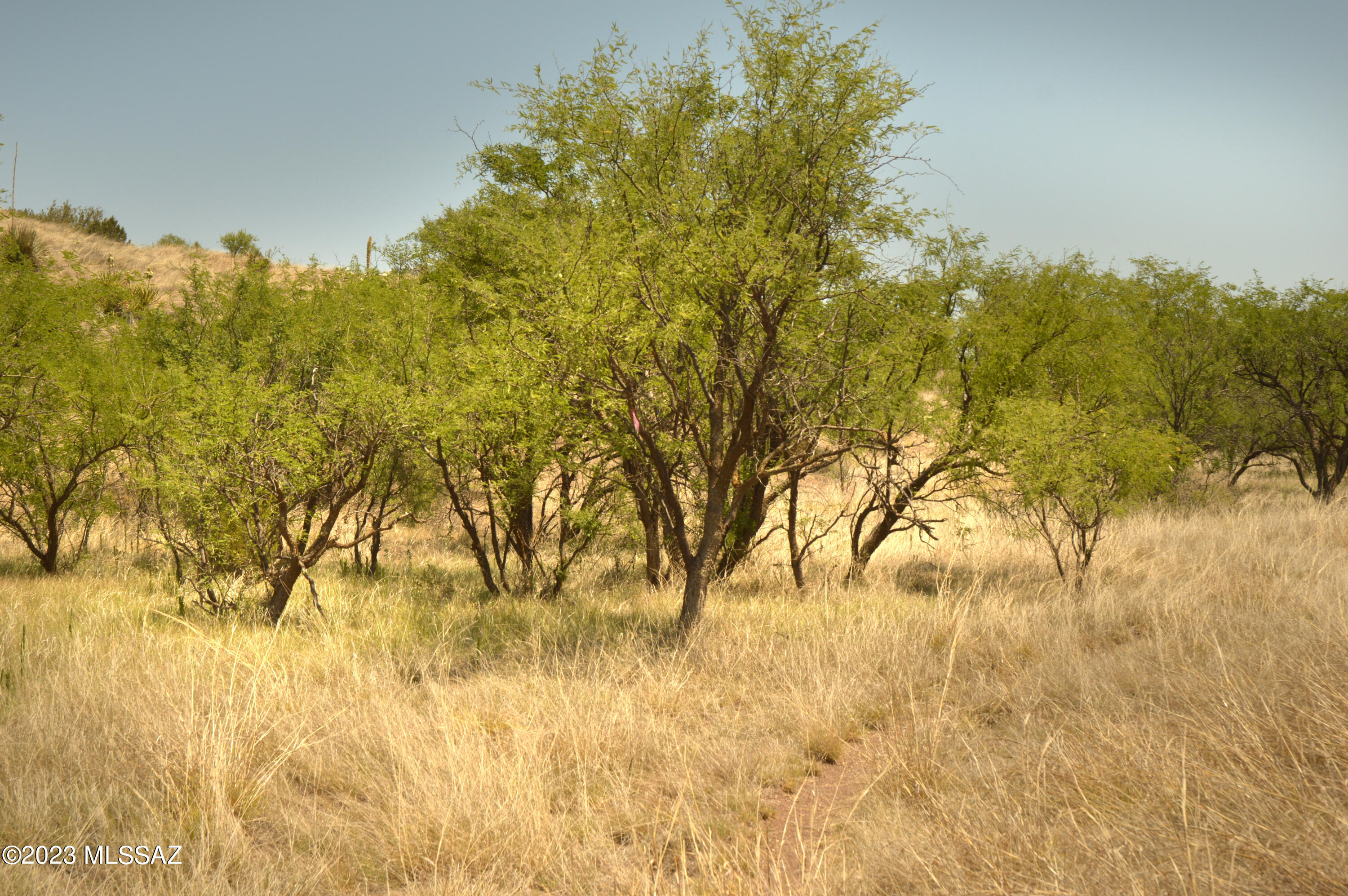 Three Canyons - Land
