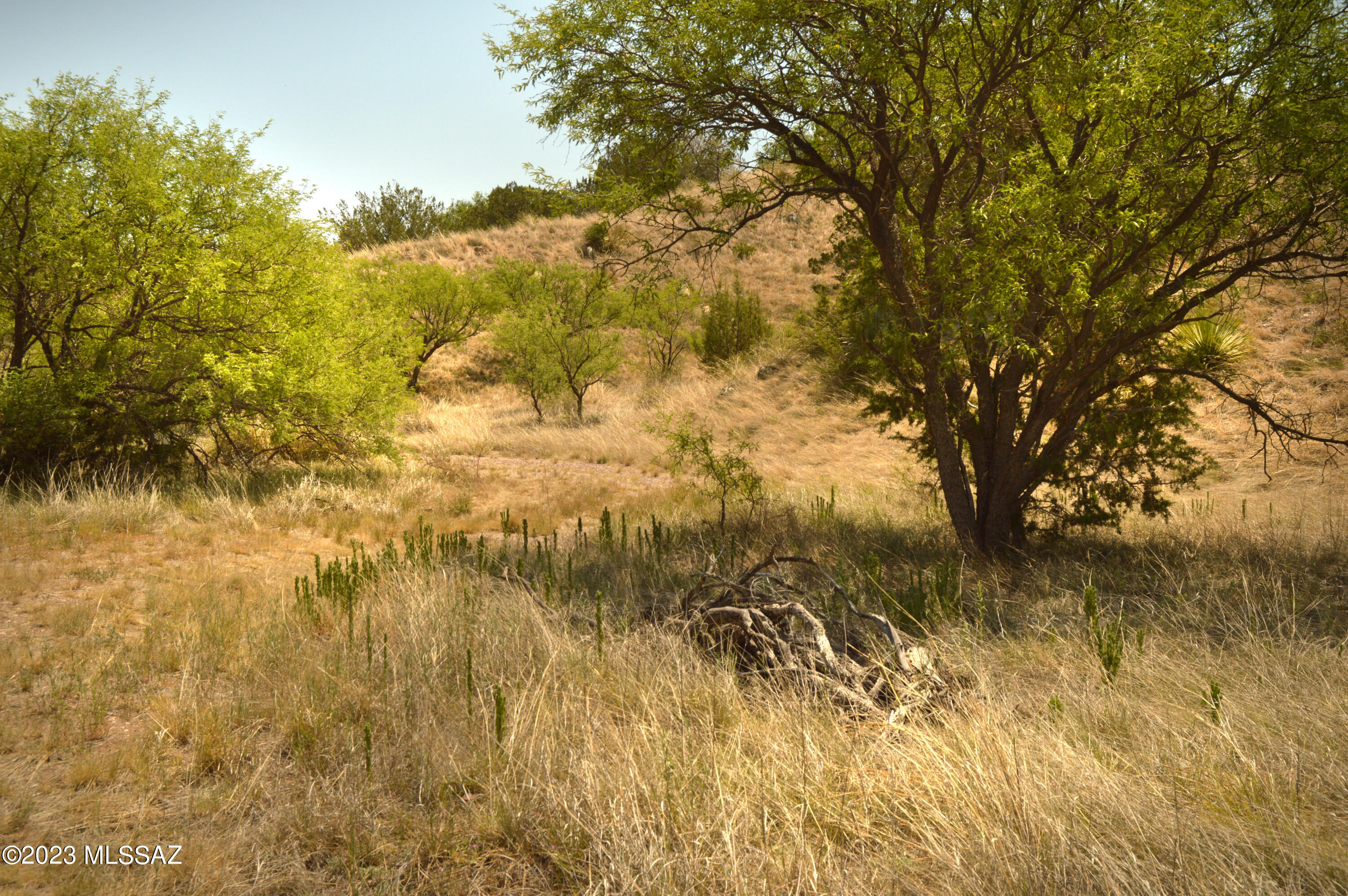 Three Canyons - Land