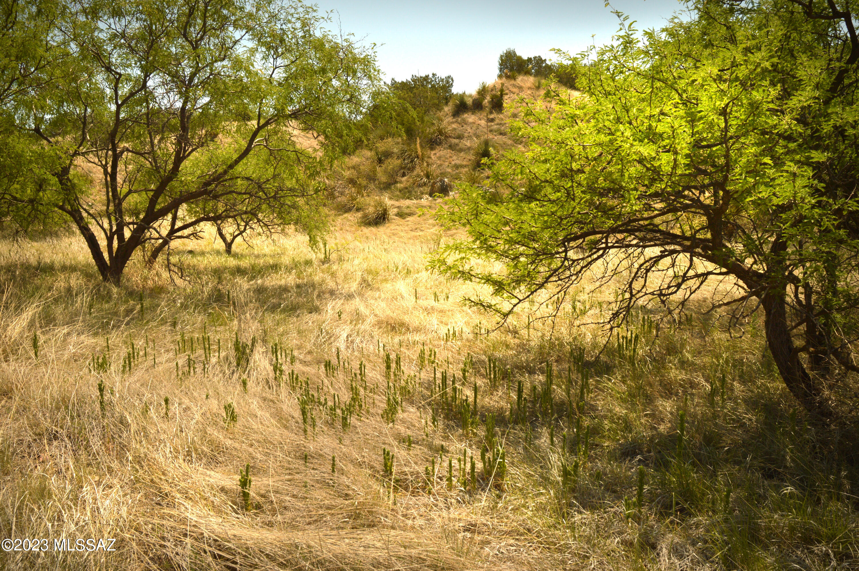 Three Canyons - Land