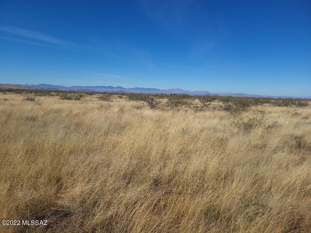 Turkey Creek Ranch - Land