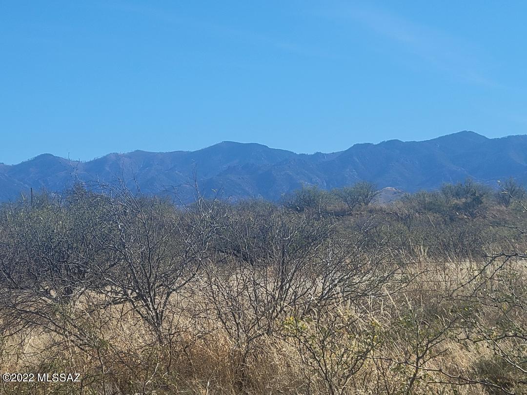 Turkey Creek Ranch - Land