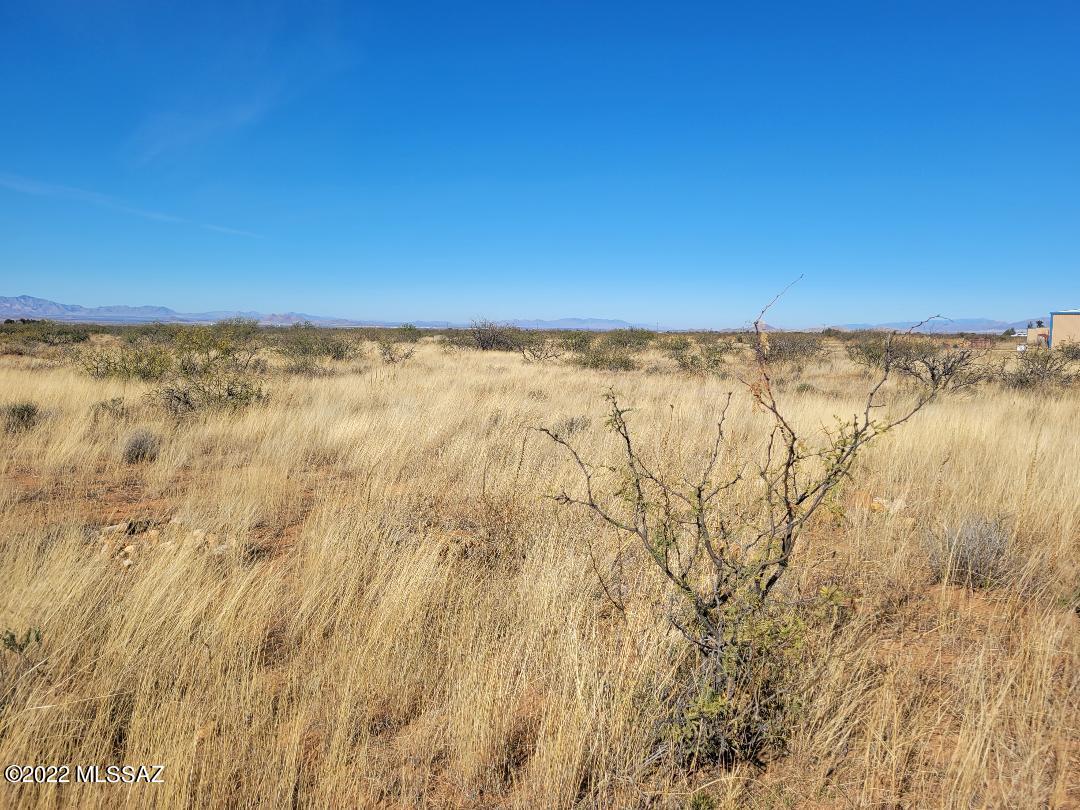 Turkey Creek Ranch - Land