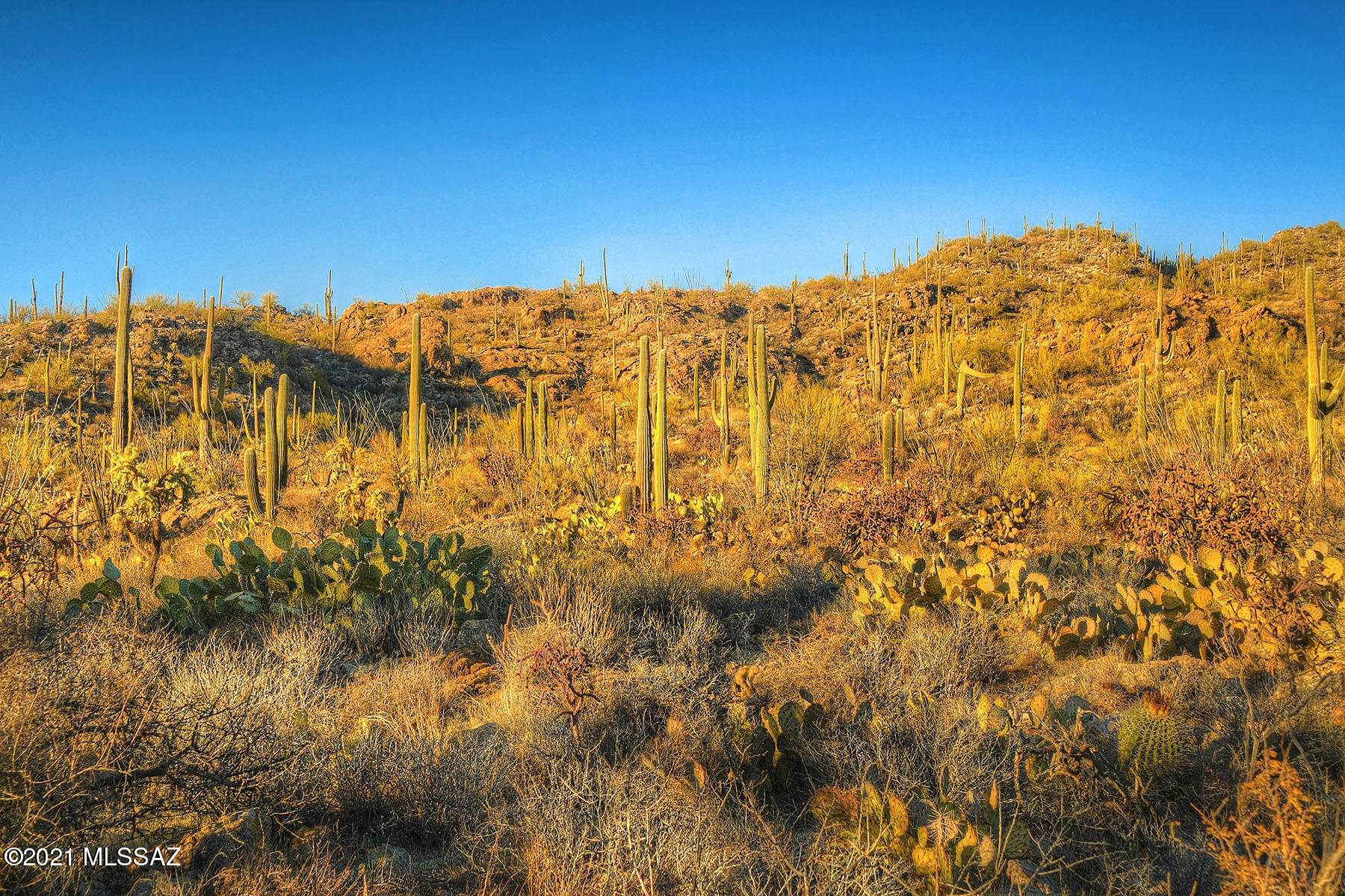 Caliente Canyons (1-7) - Residential