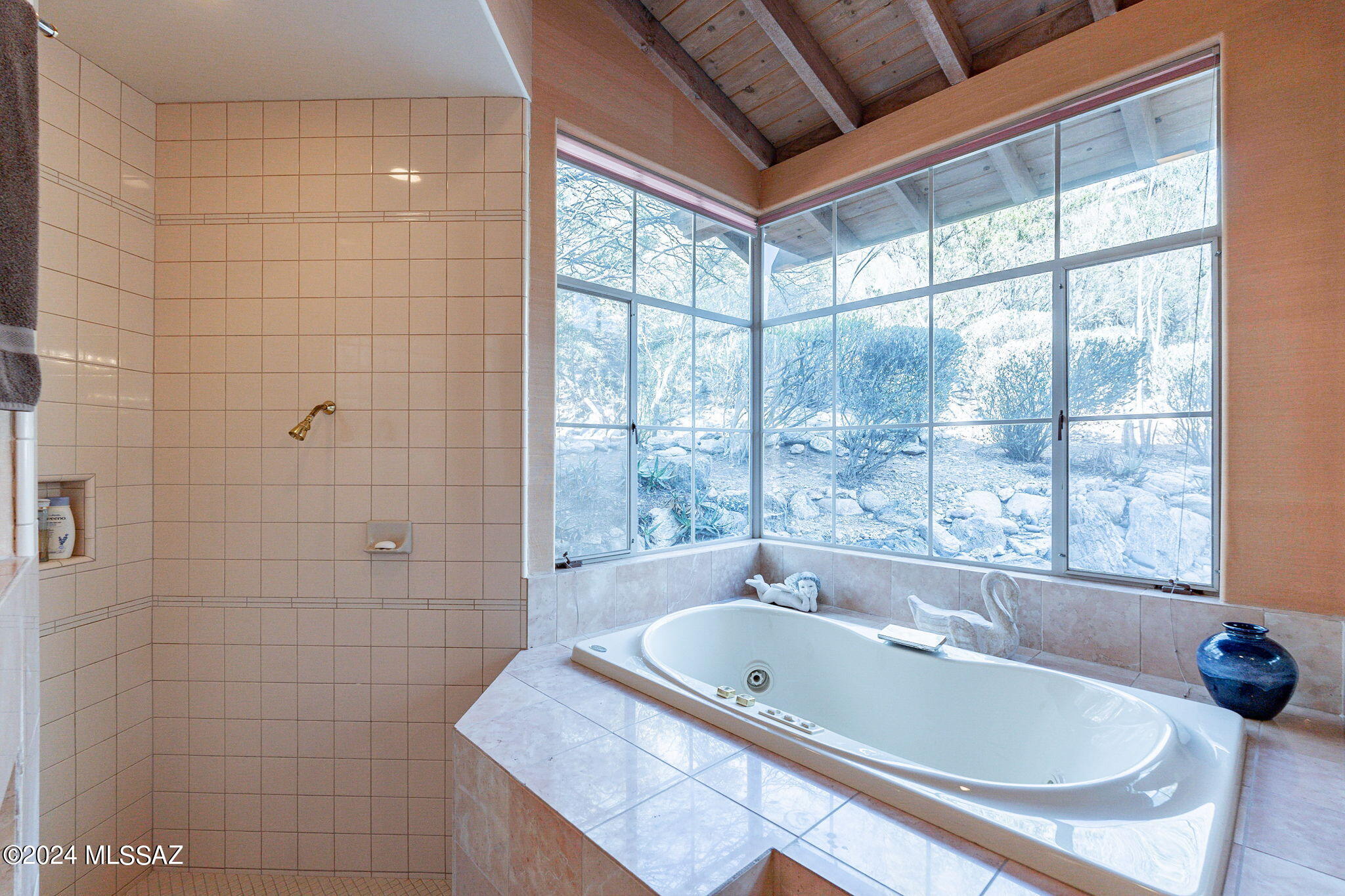 Ventana Canyon Estates (1-63) - Residential