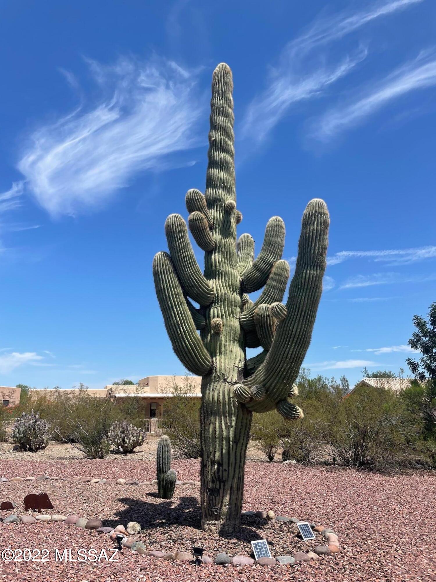 Sombrero Peak Estates (1-77) - Residential