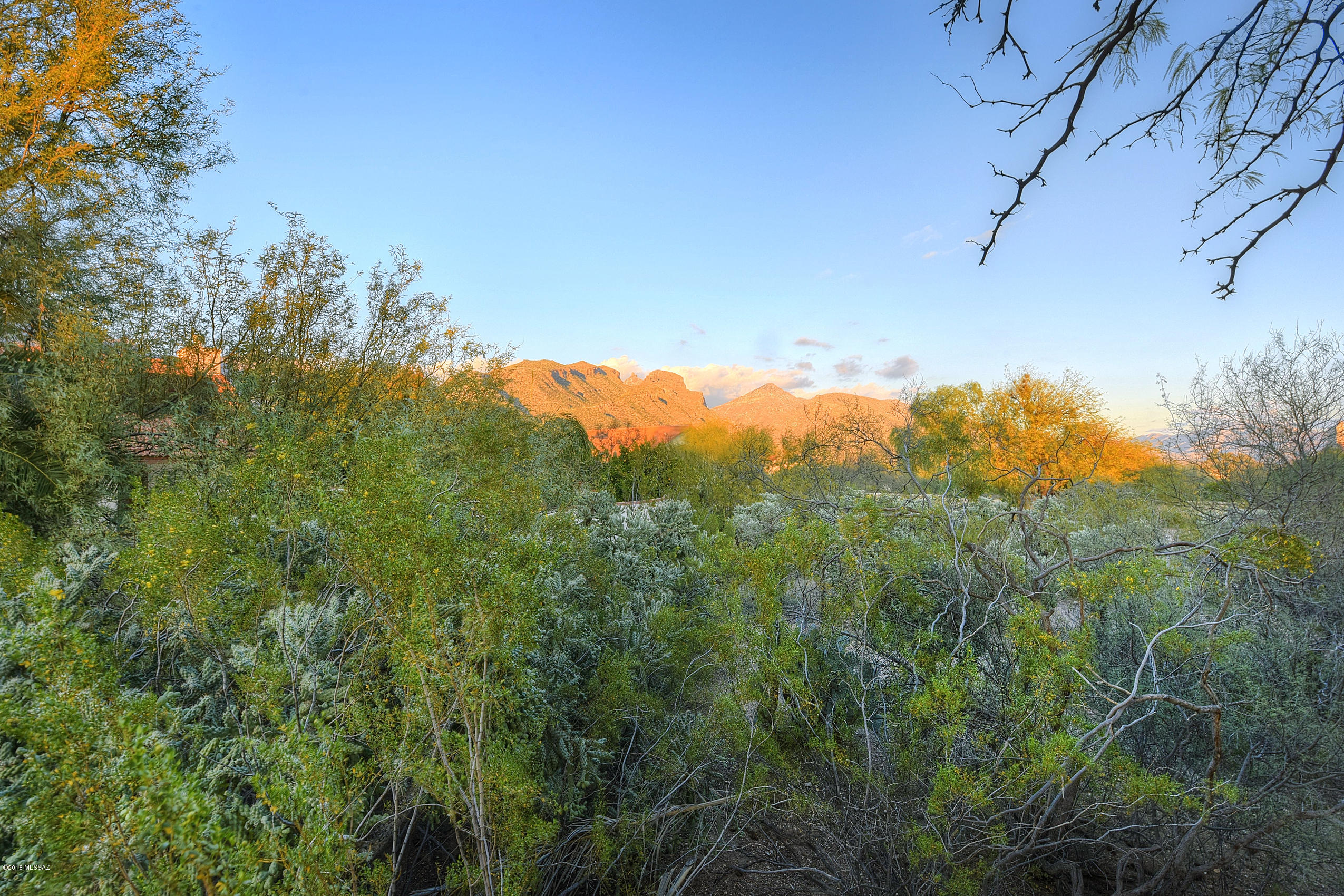 Sabino Canyon Clusters (1-56) - Residential