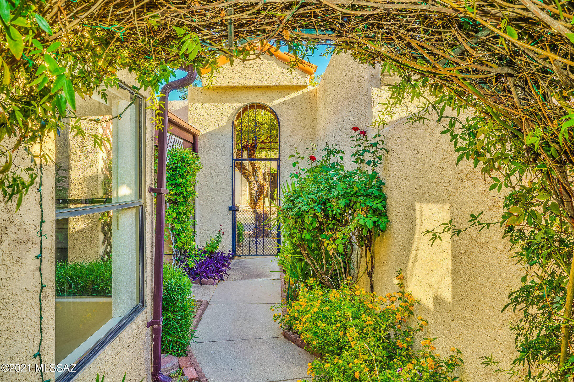 Miramonte Townhomes (1-67) - Residential