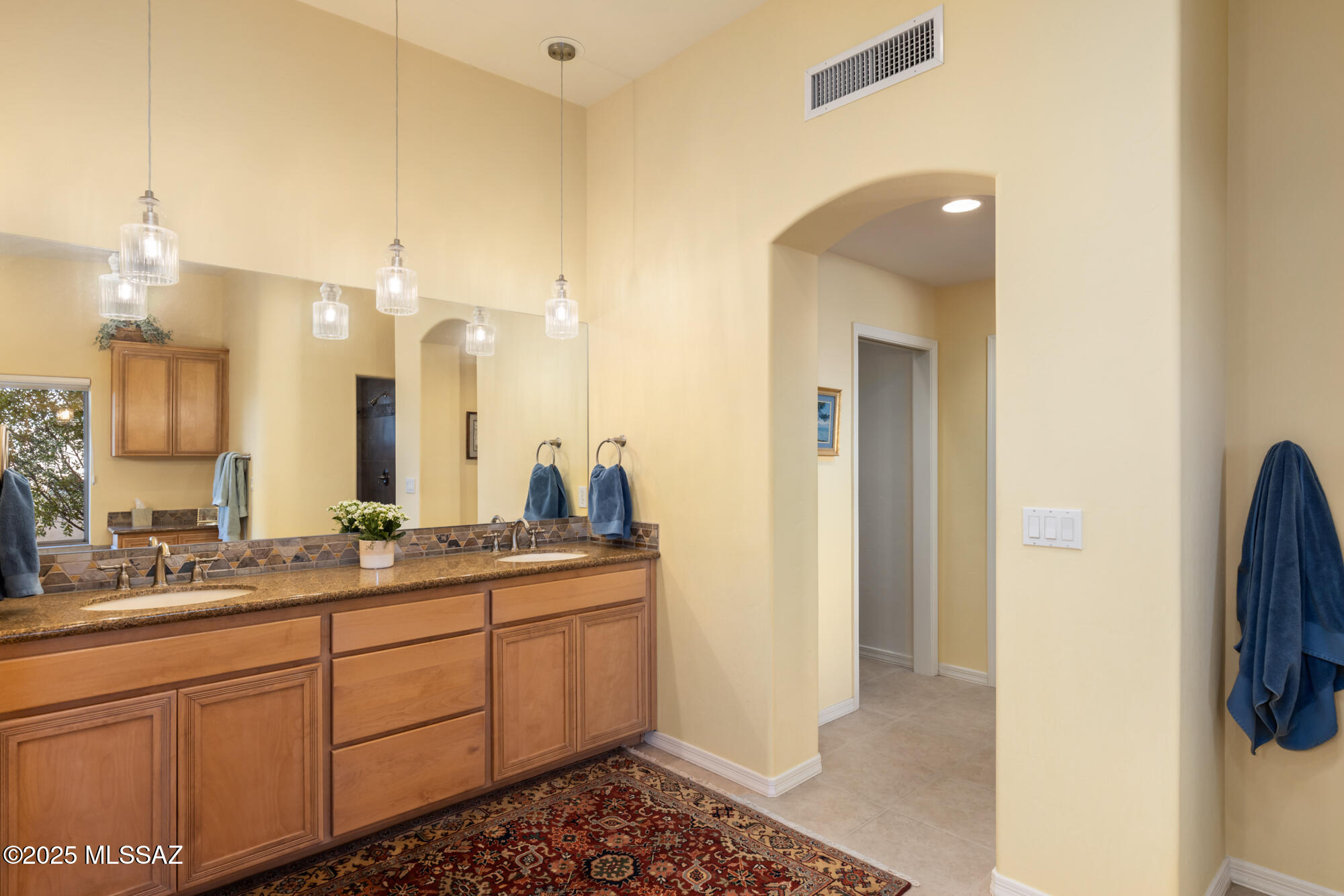 Sabino Mountain (1-290) - Residential