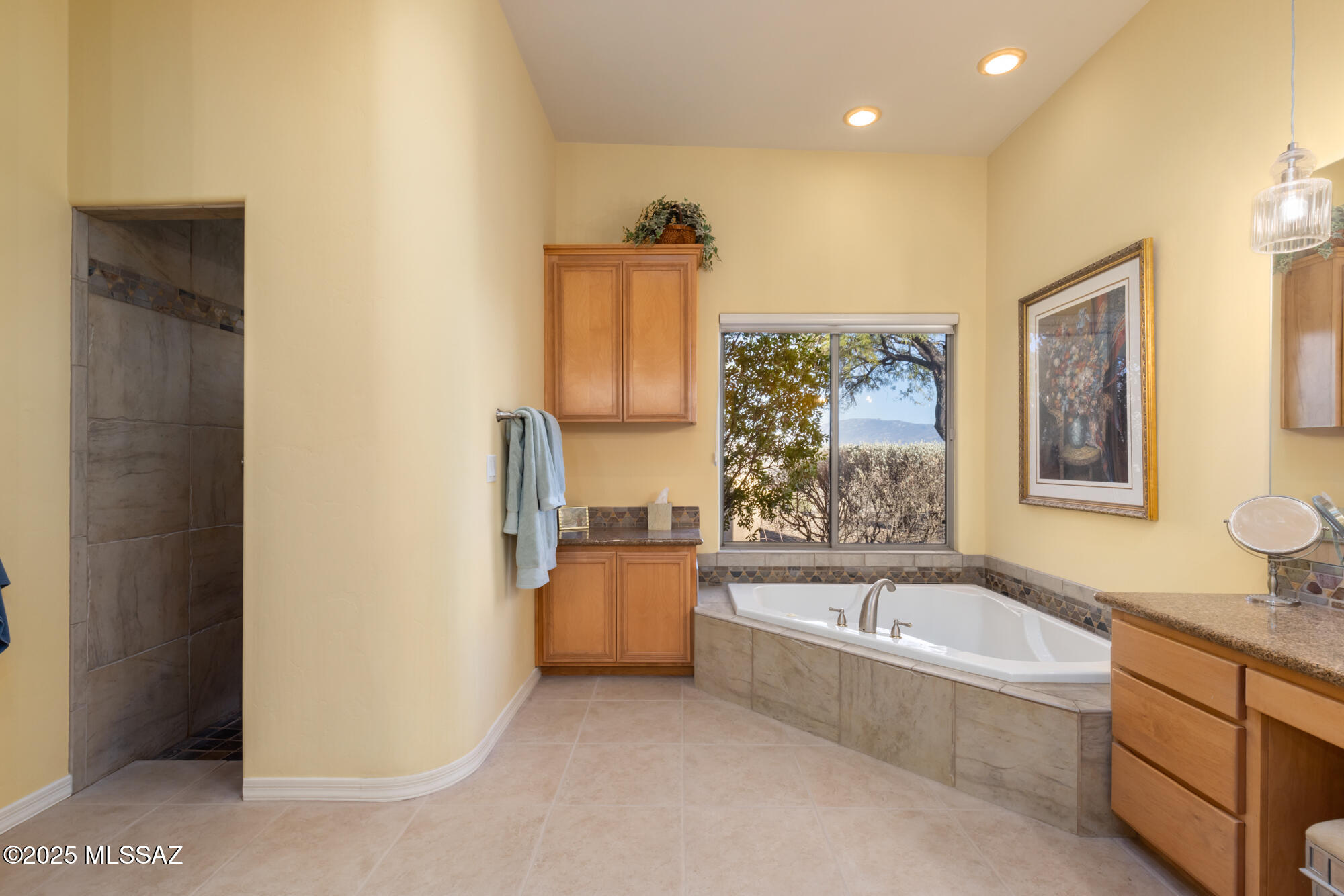 Sabino Mountain (1-290) - Residential