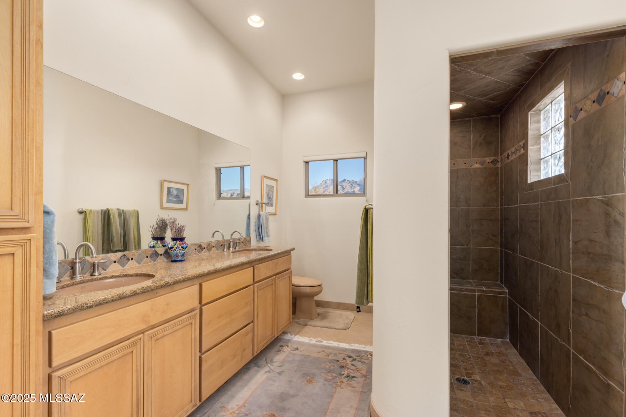 Sabino Mountain (1-290) - Residential