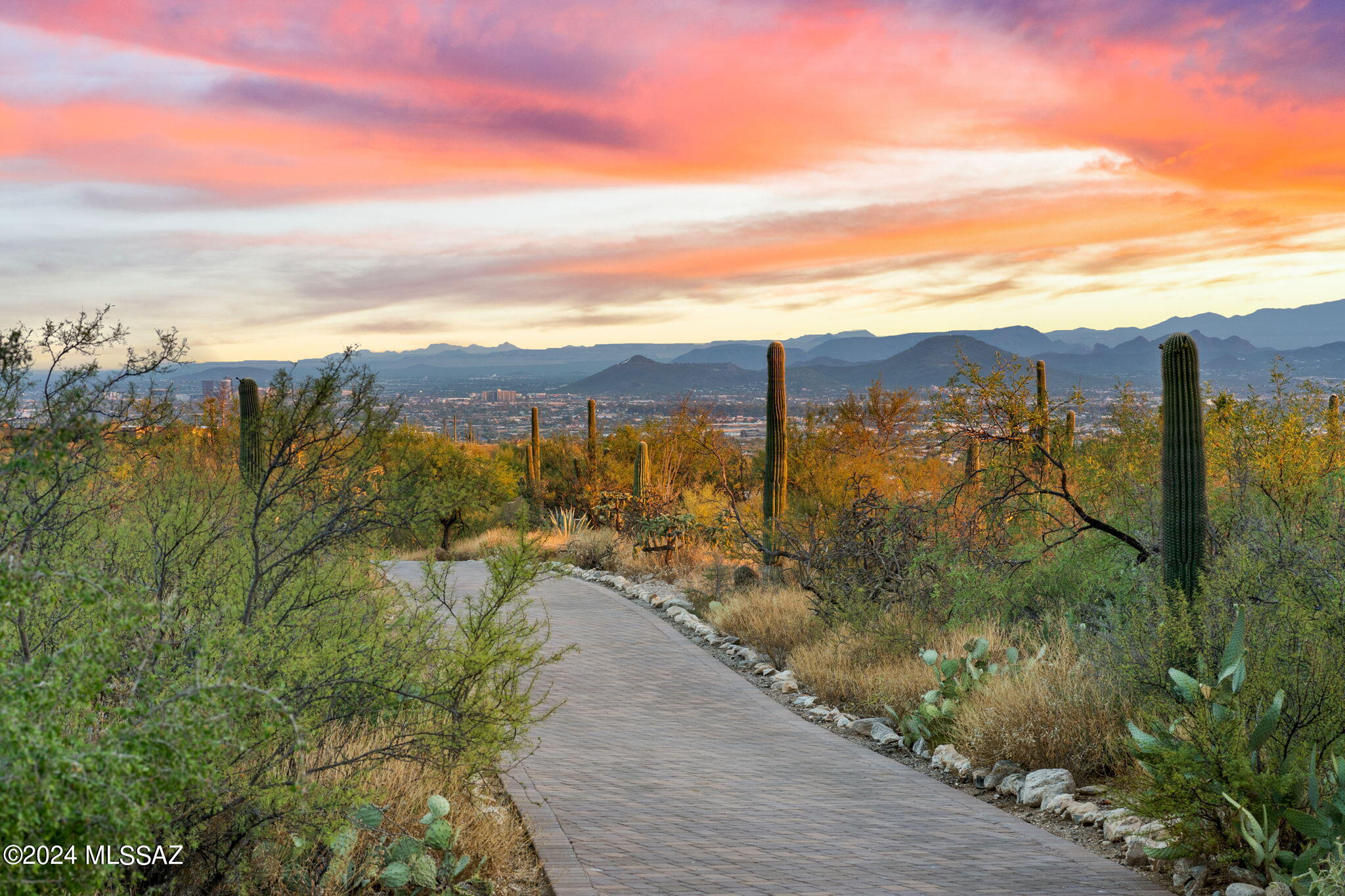 Cobo Catalina Hills (1-51) - Residential