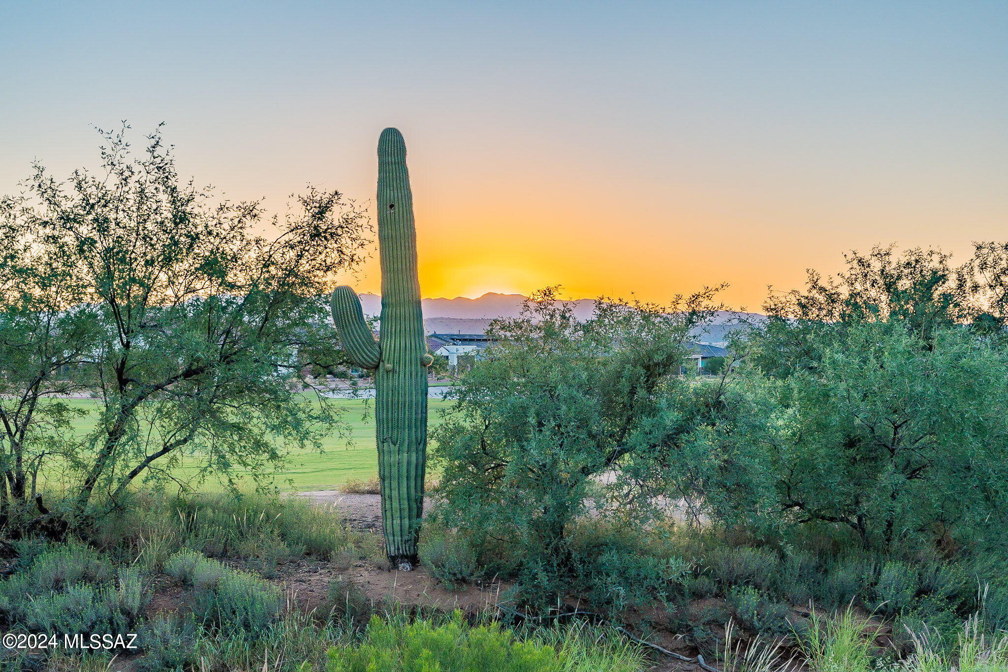 Quail Creek II (1-34) - Residential
