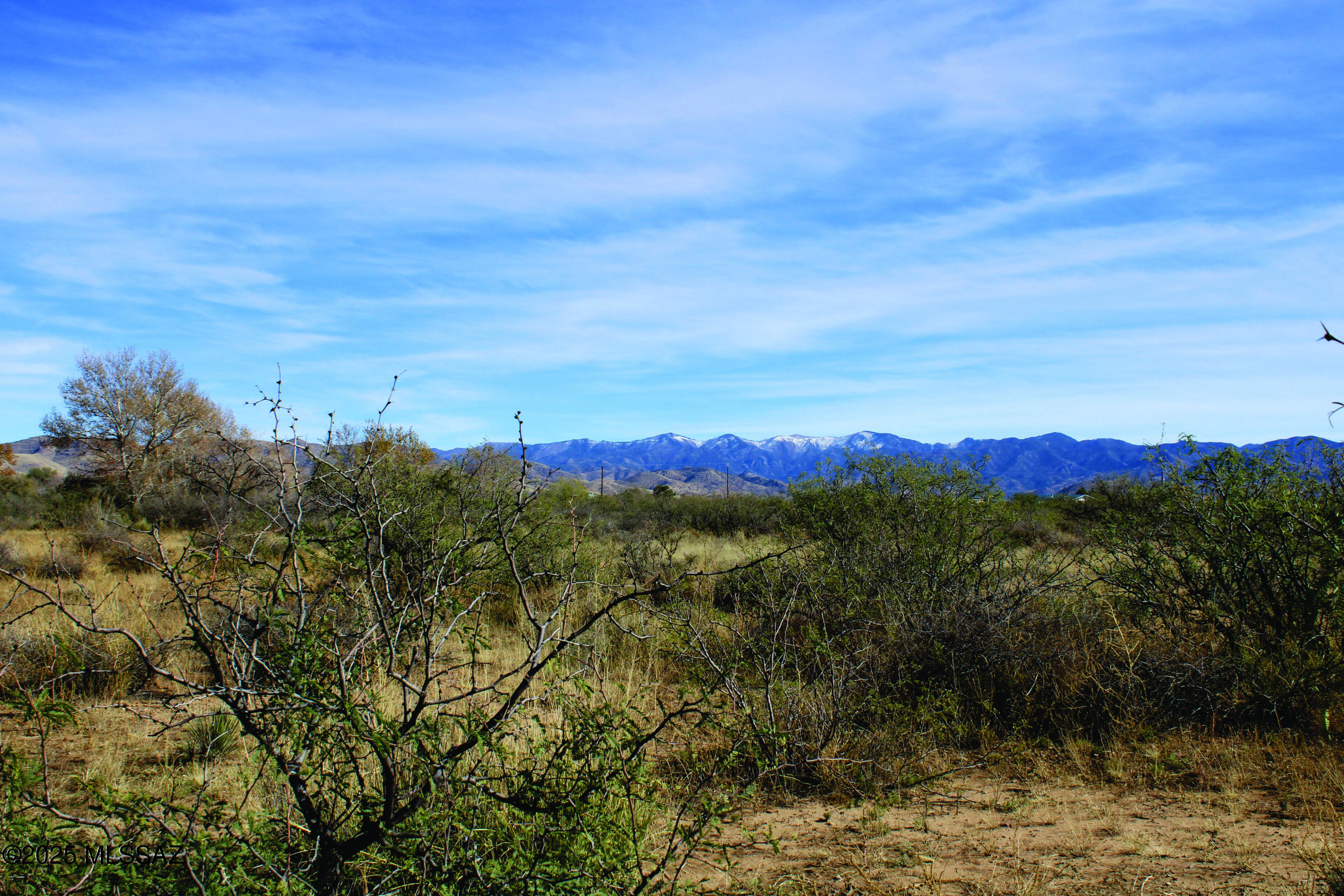 Turkey Creek Ranch - Land