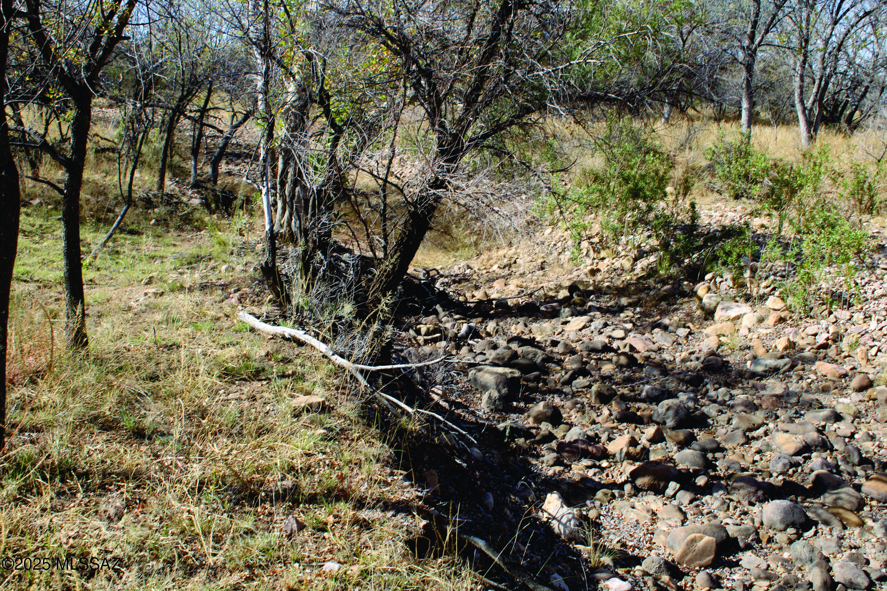 Turkey Creek Ranch - Land