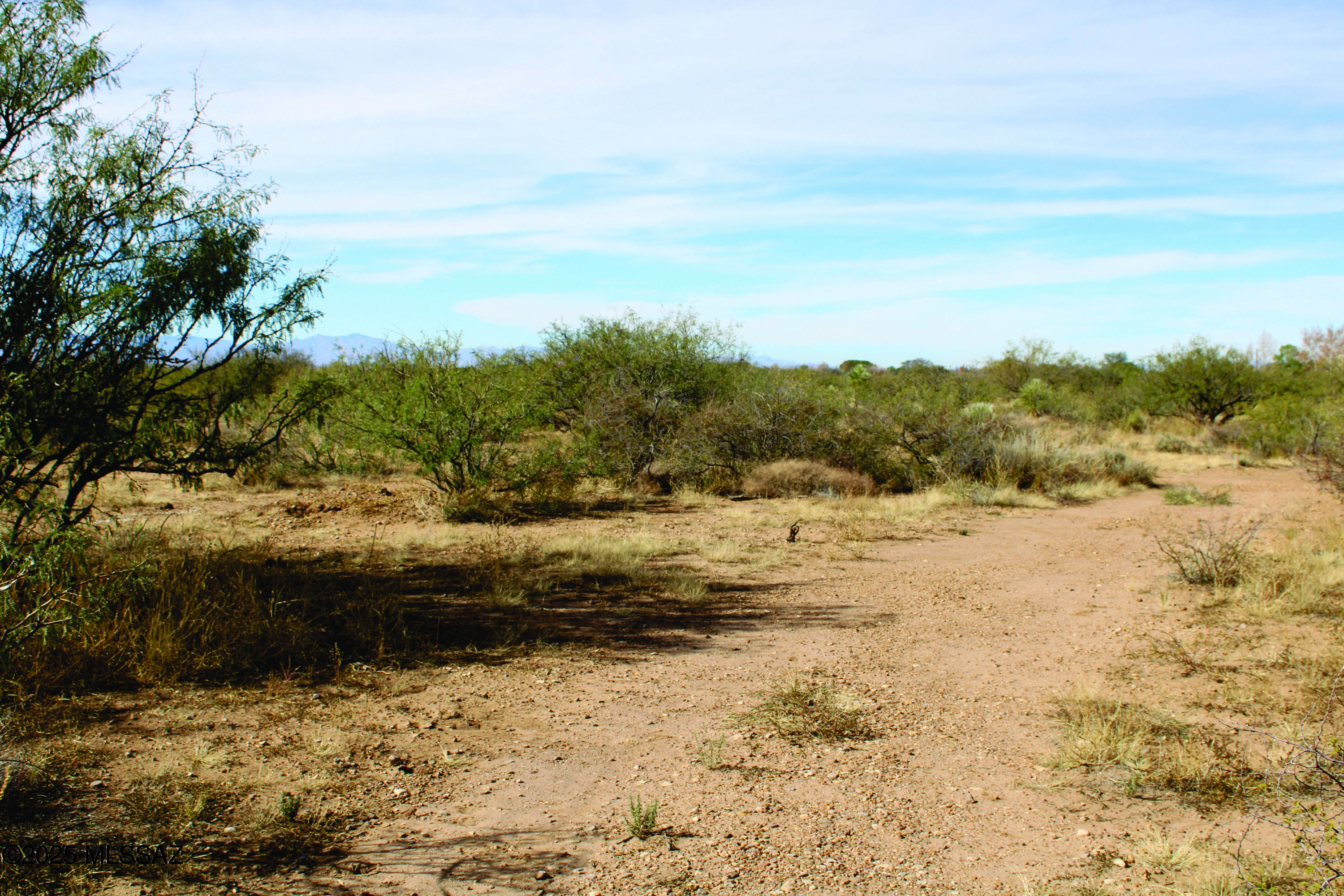 Turkey Creek Ranch - Land