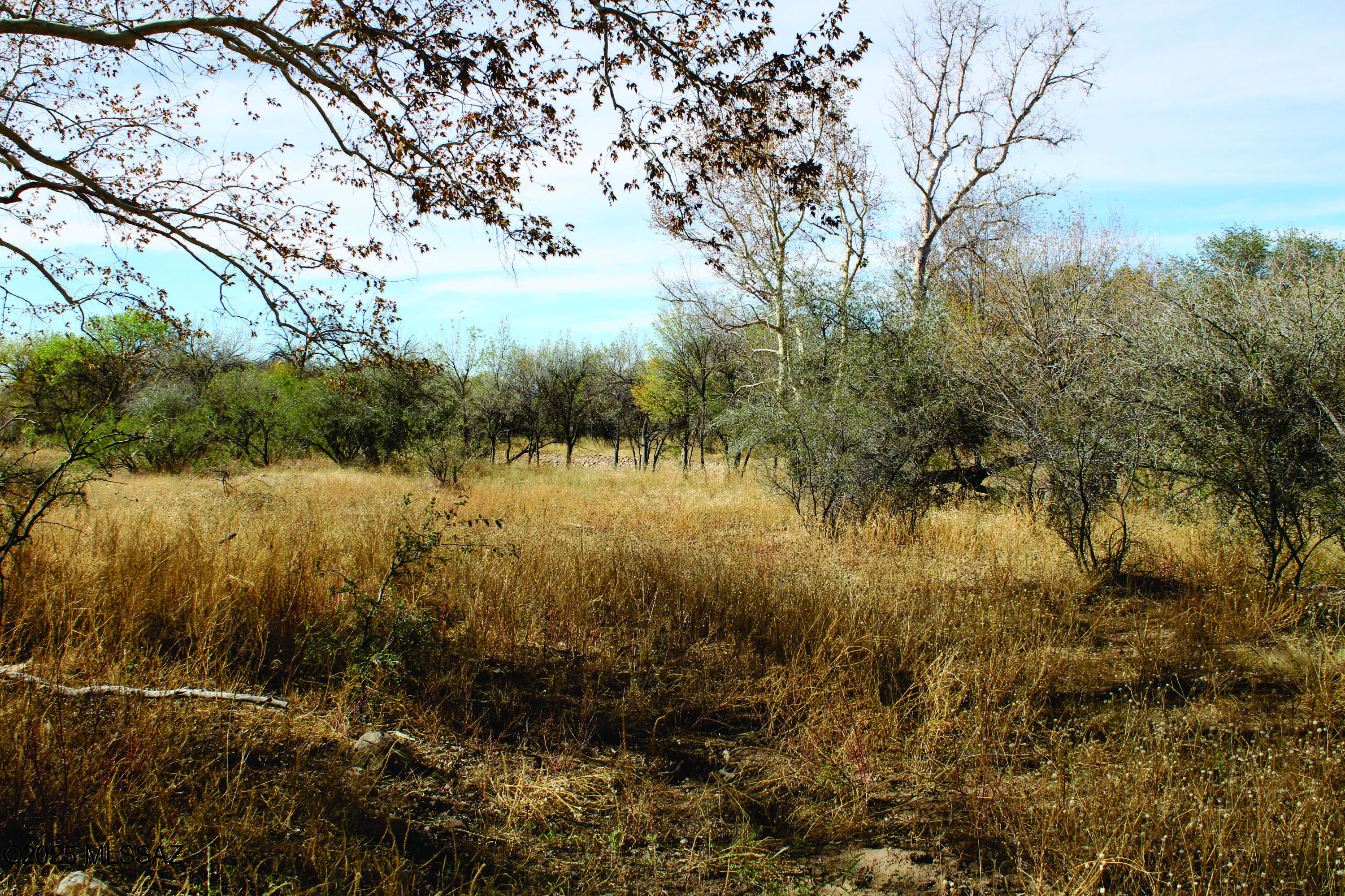 Turkey Creek Ranch - Land