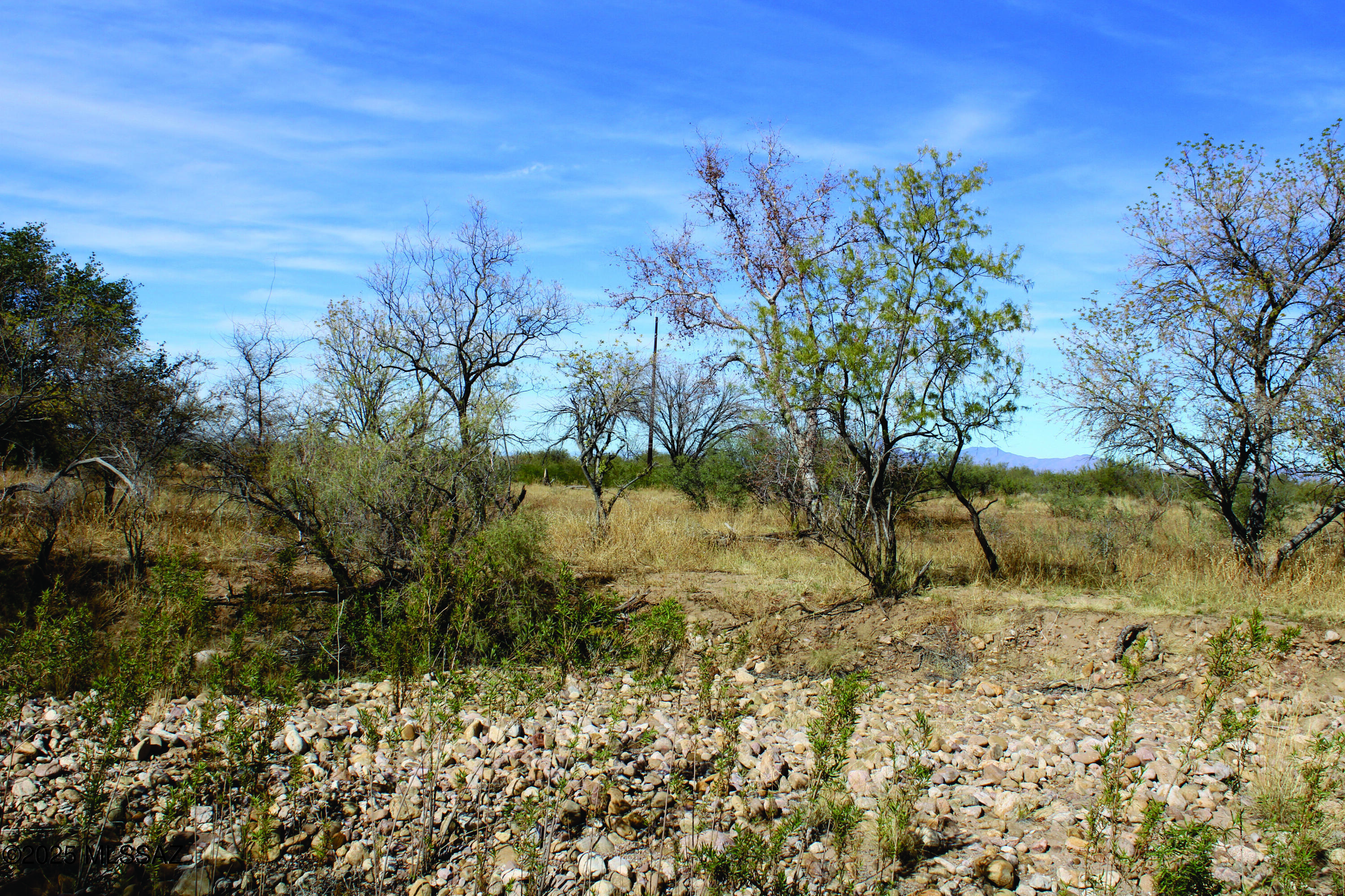 Turkey Creek Ranch - Land