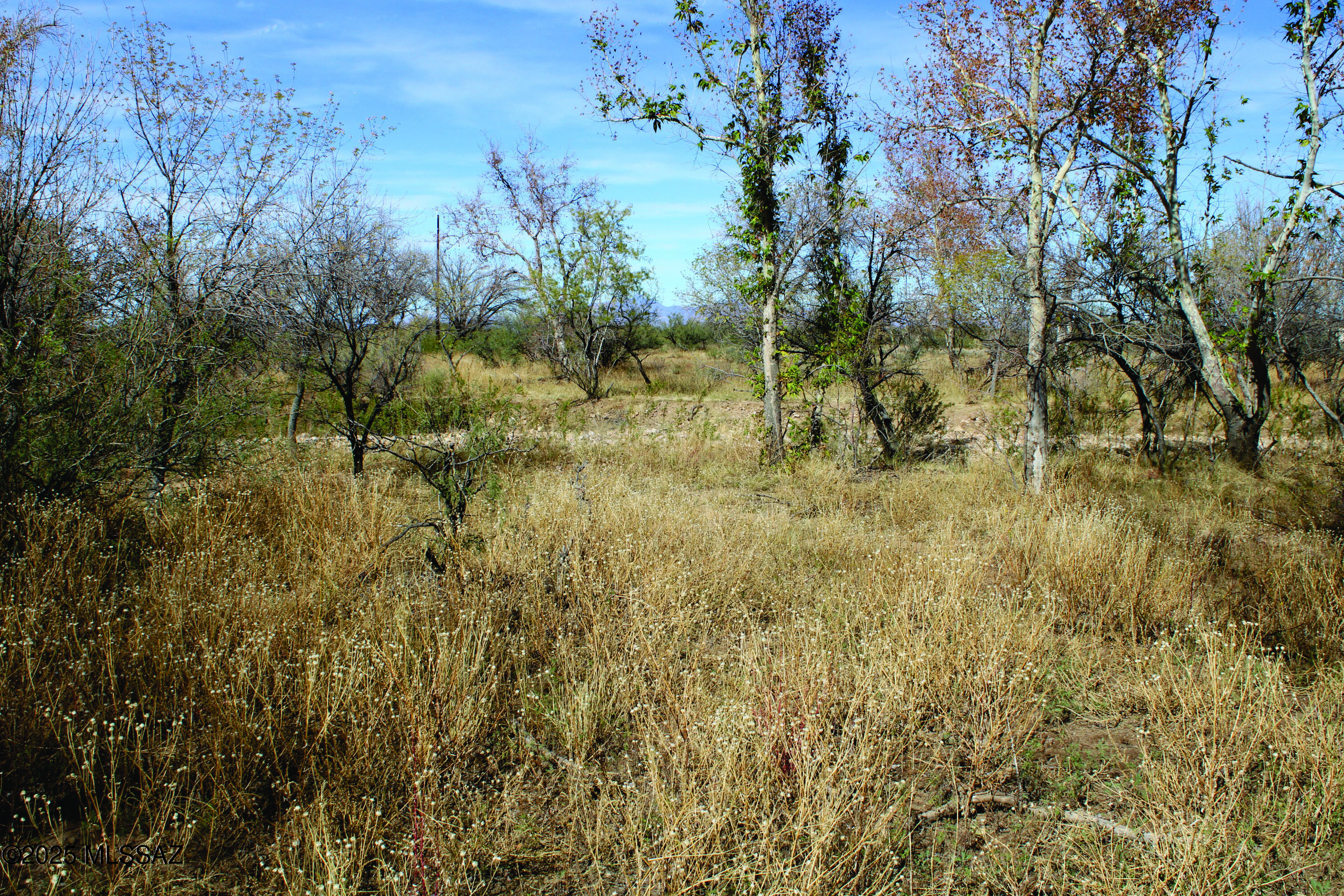Turkey Creek Ranch - Land