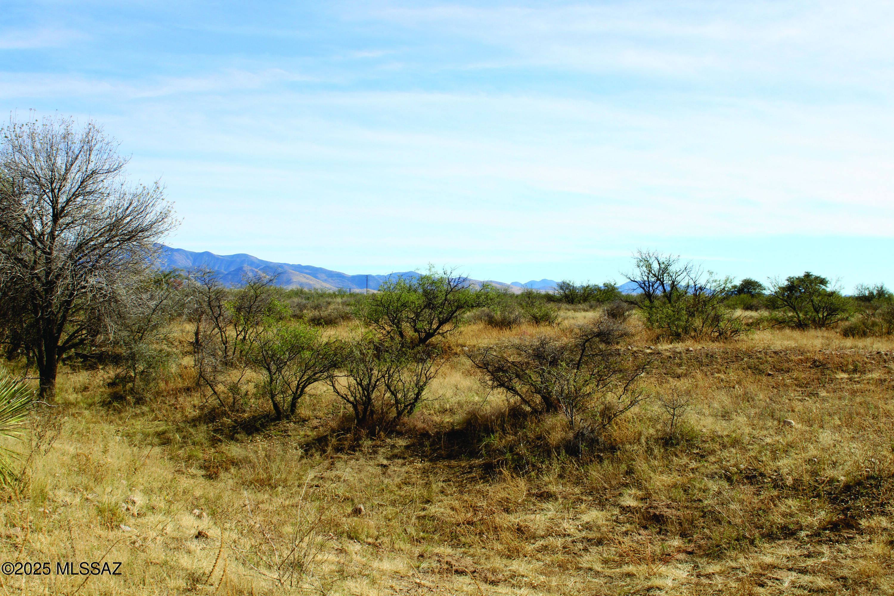 Turkey Creek Ranch - Land