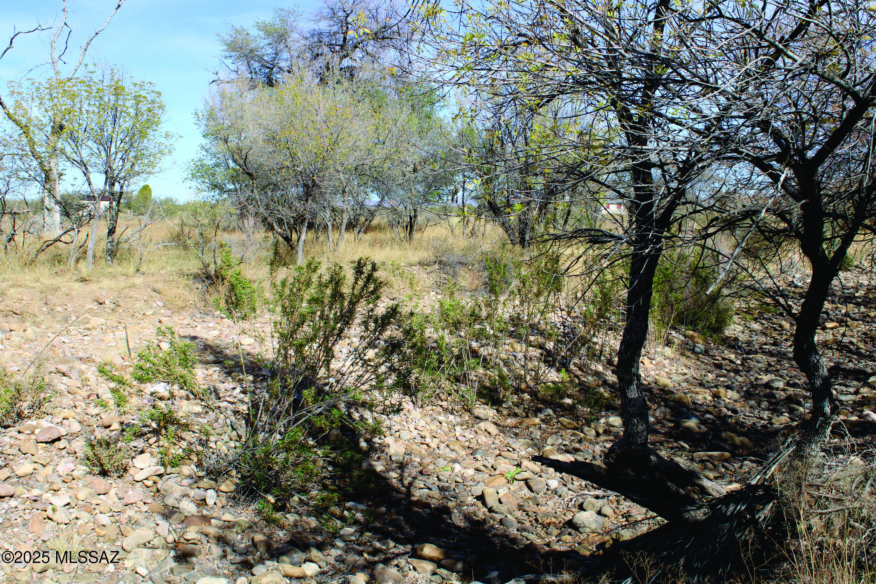 Turkey Creek Ranch - Land