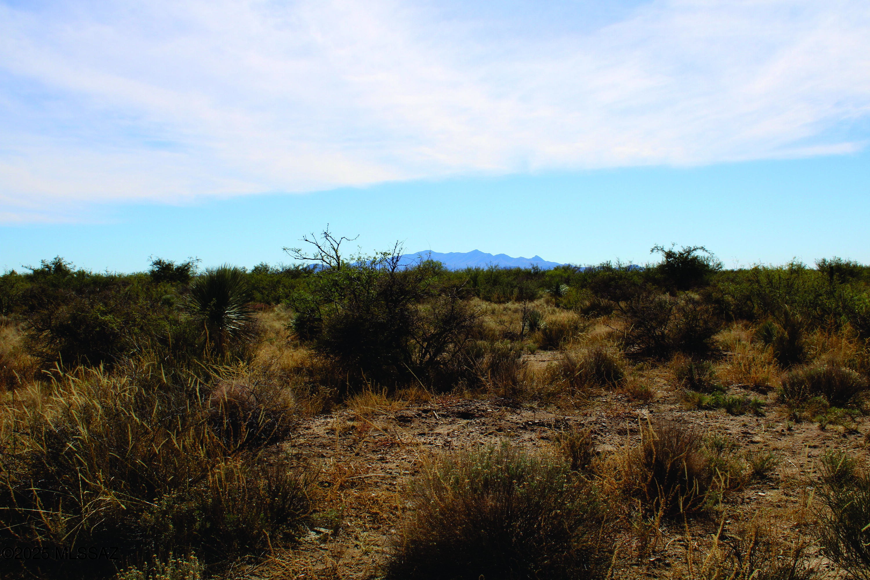 Turkey Creek Ranch - Land